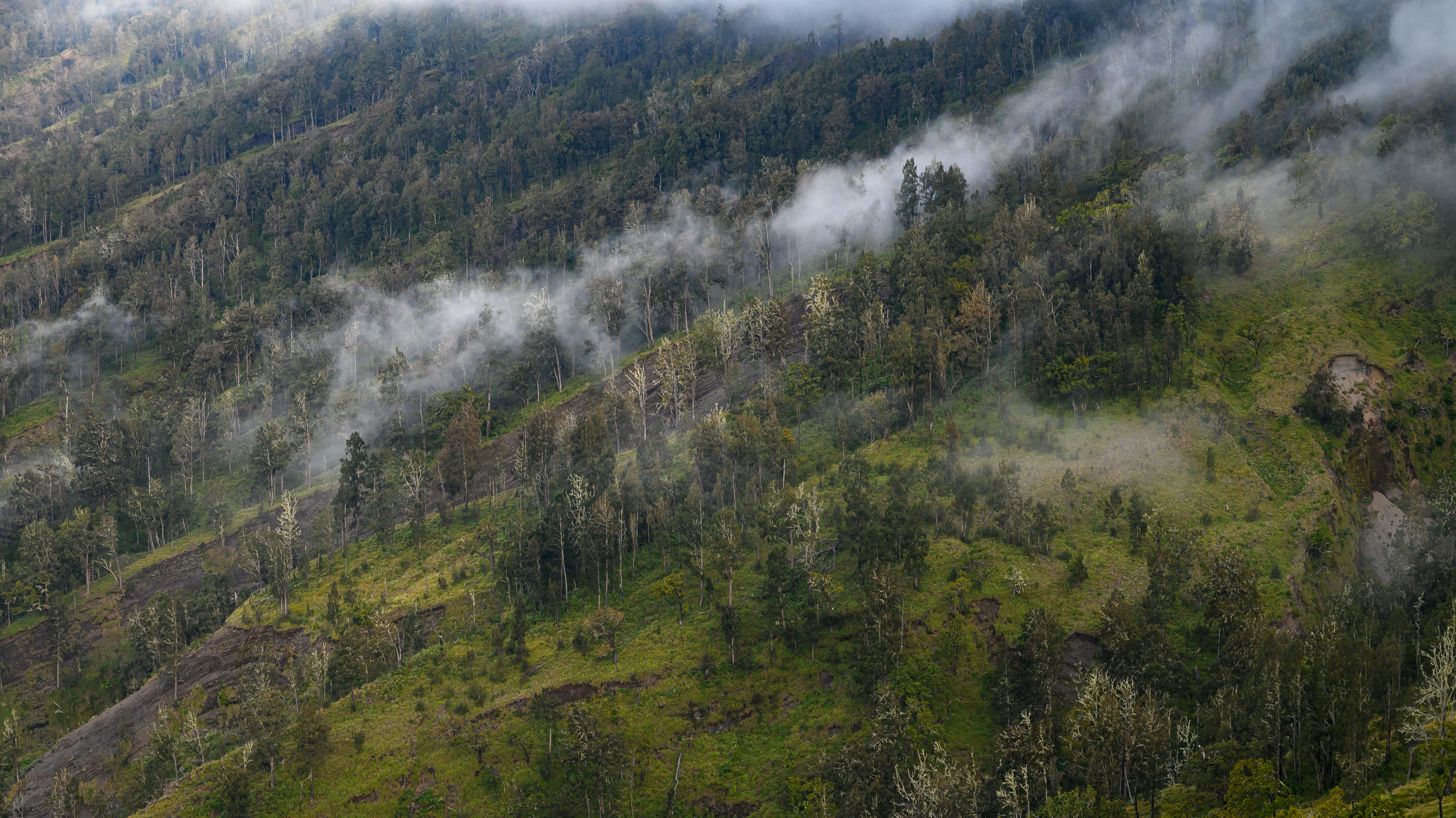 Sembalun, Indonesia - None