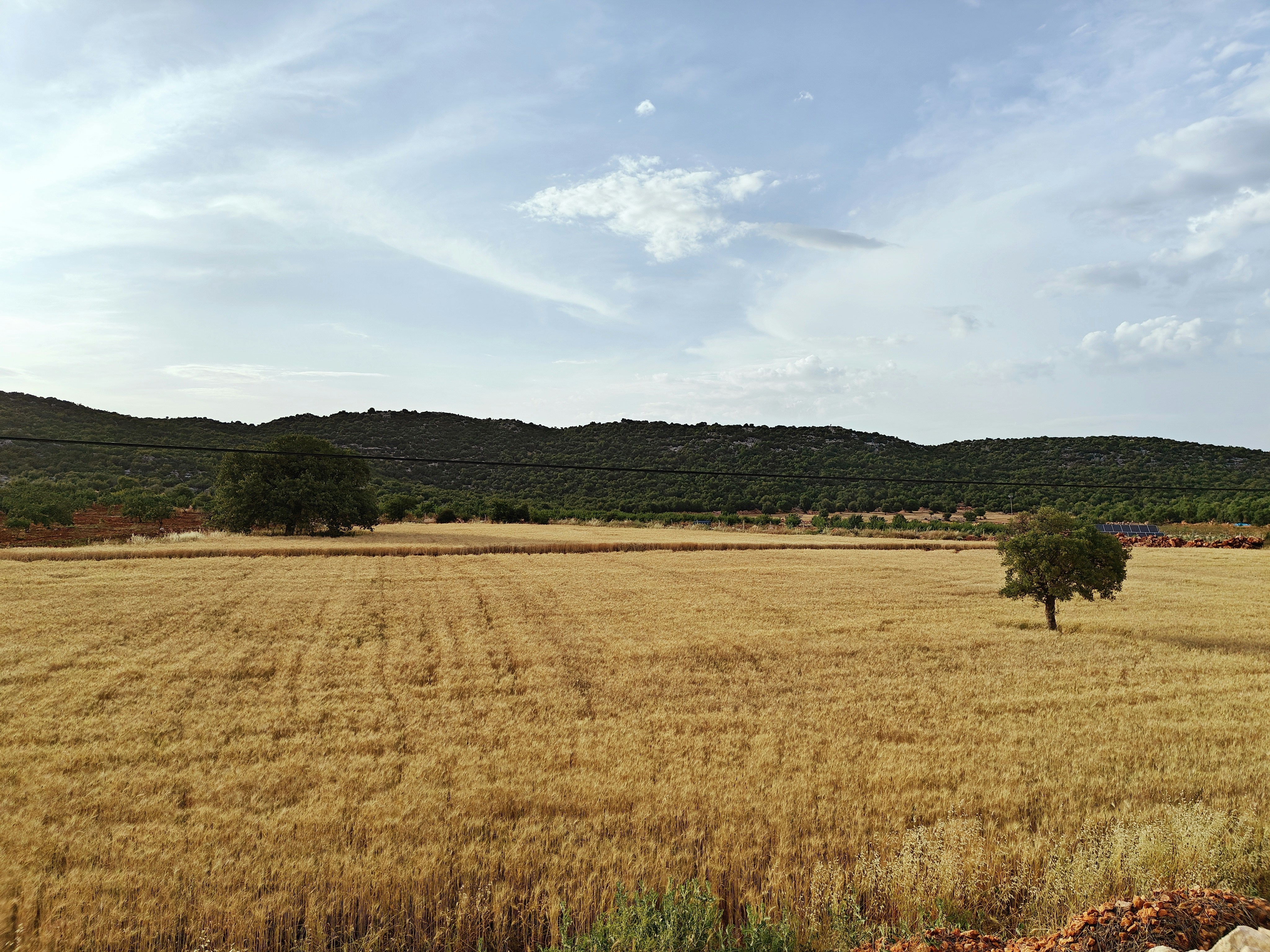 2024 Kırsal Kalkınma Planı Nedir ?