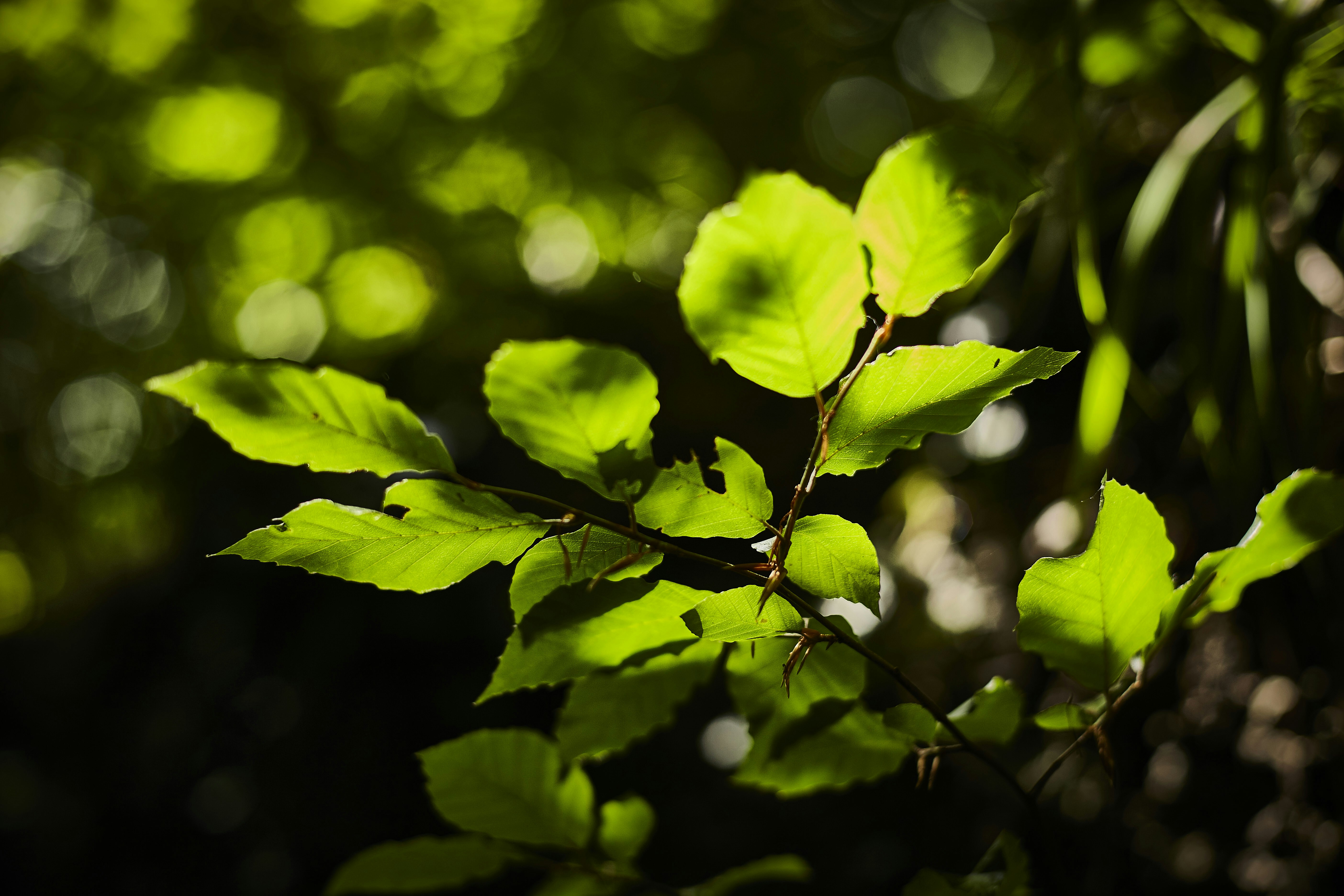 Photo by quadratmedia