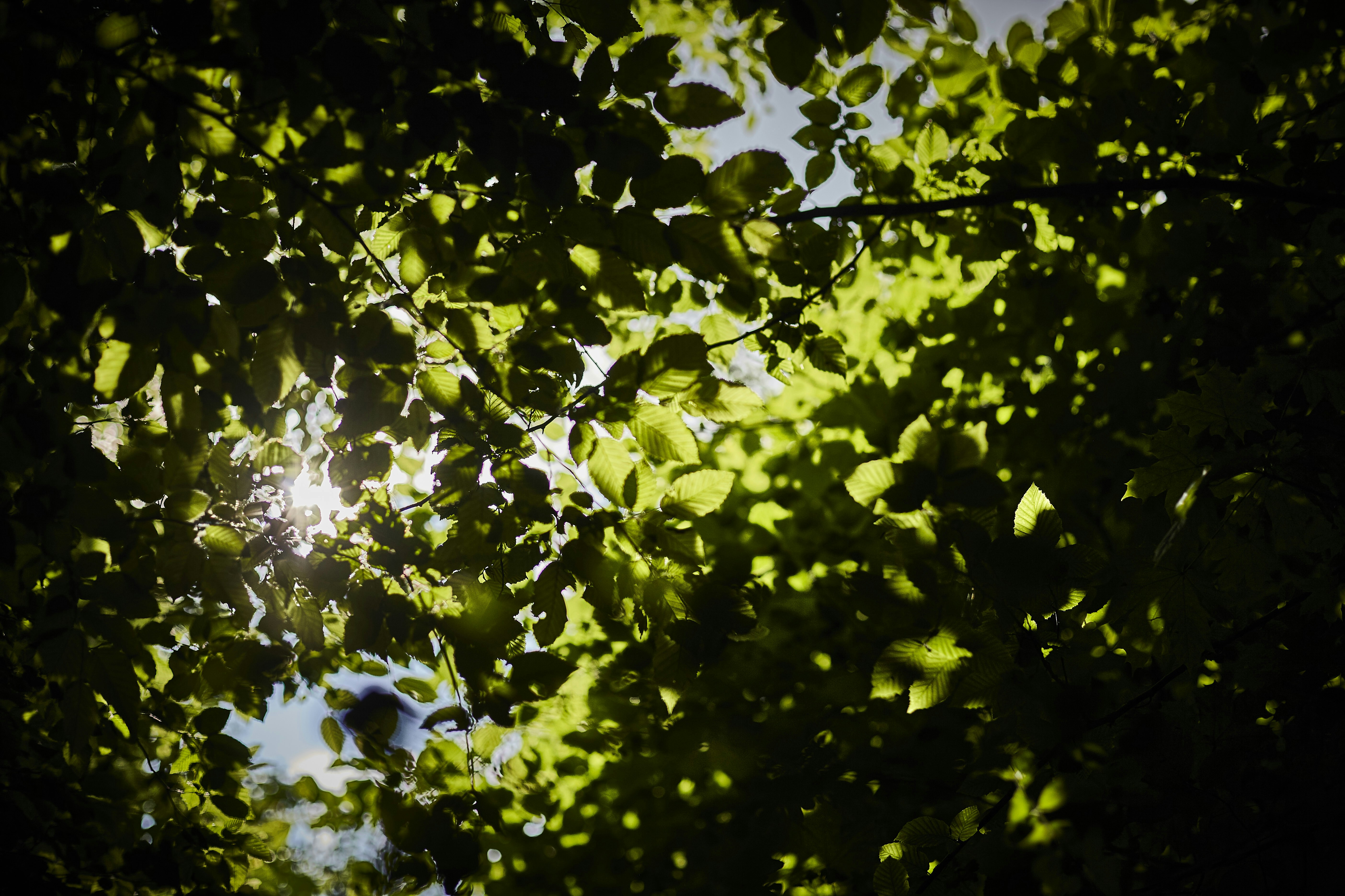 Photo by quadratmedia