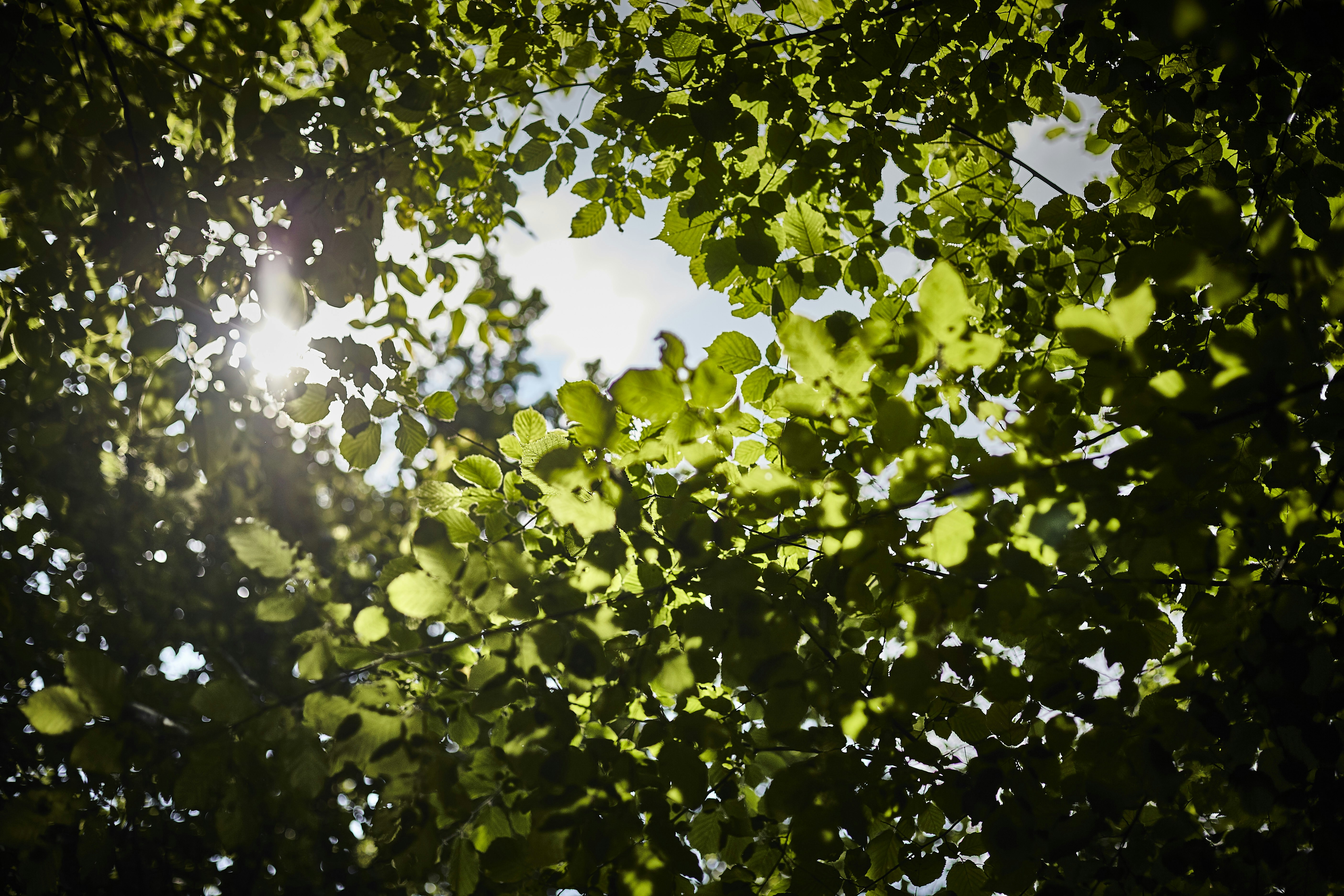 Photo by quadratmedia