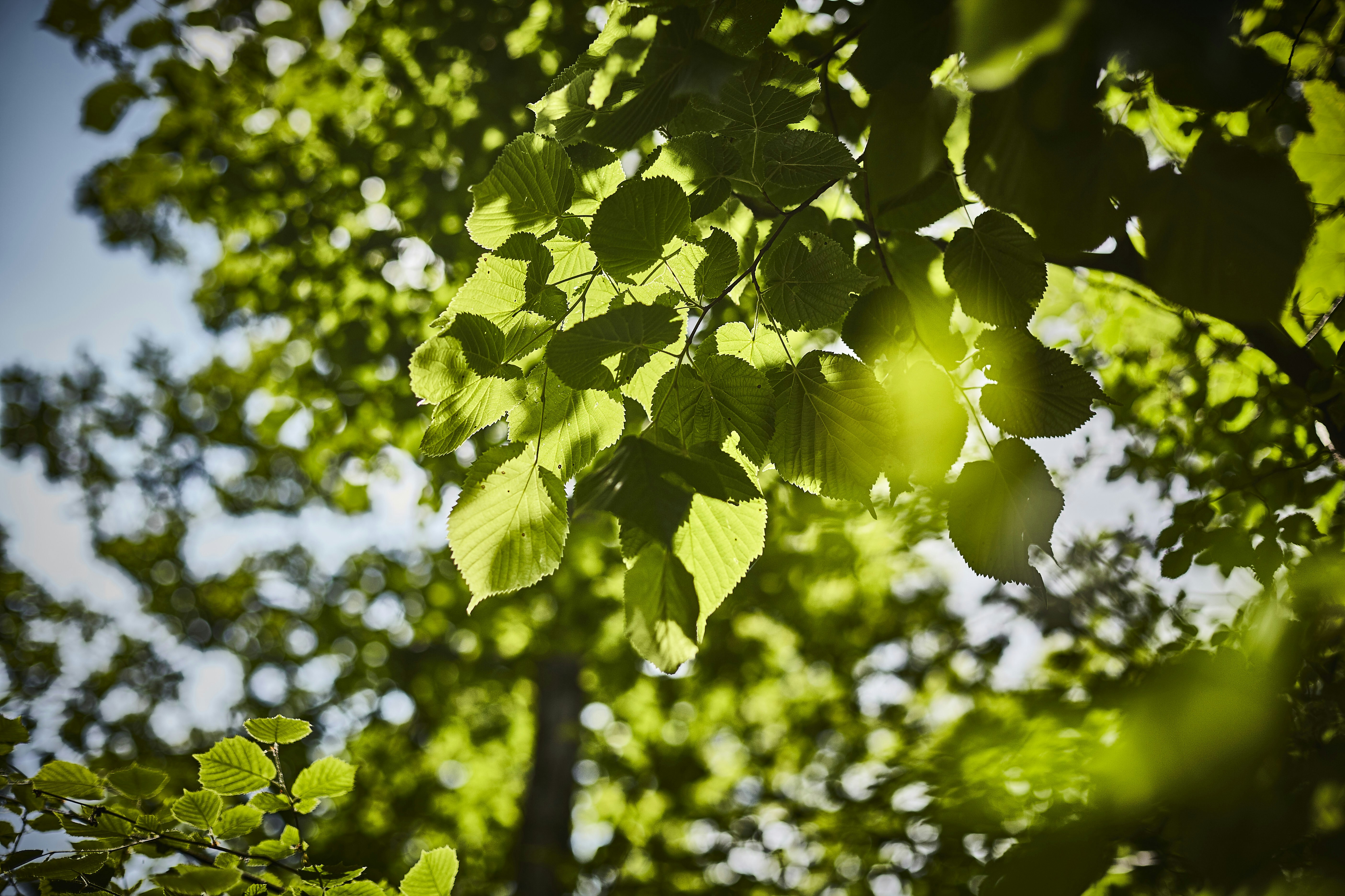 Photo by quadratmedia