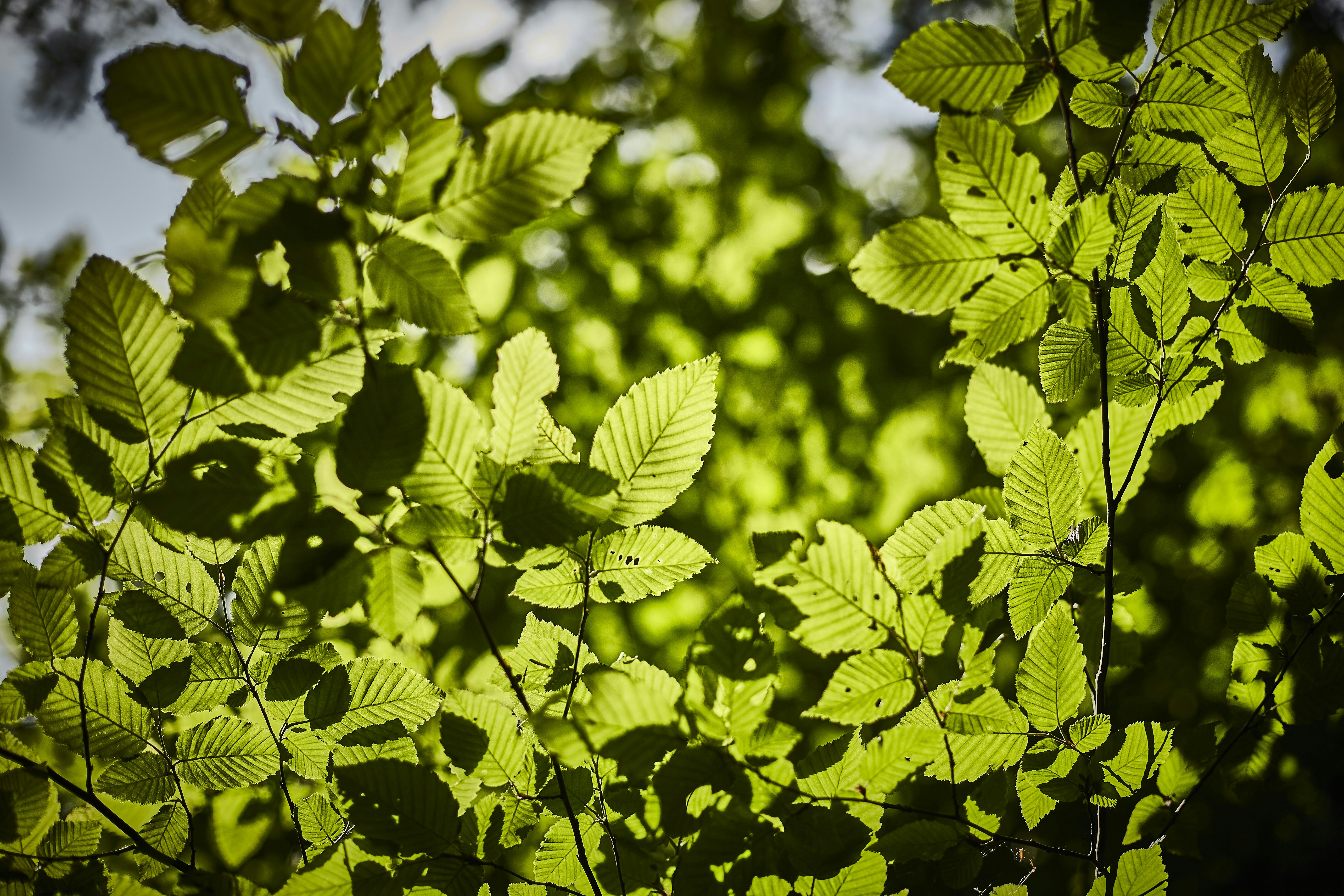 Photo by quadratmedia