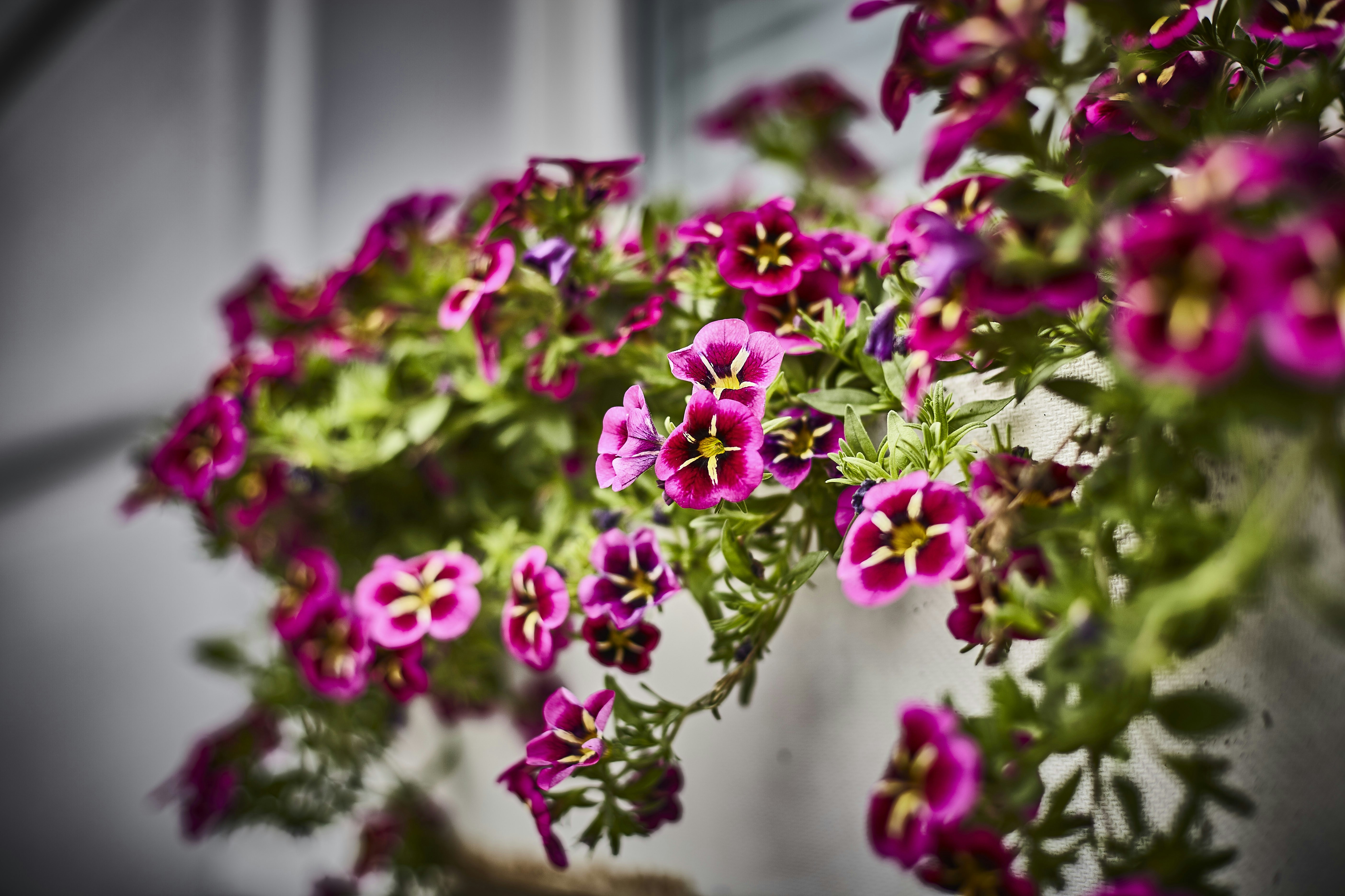 Photo by quadratmedia