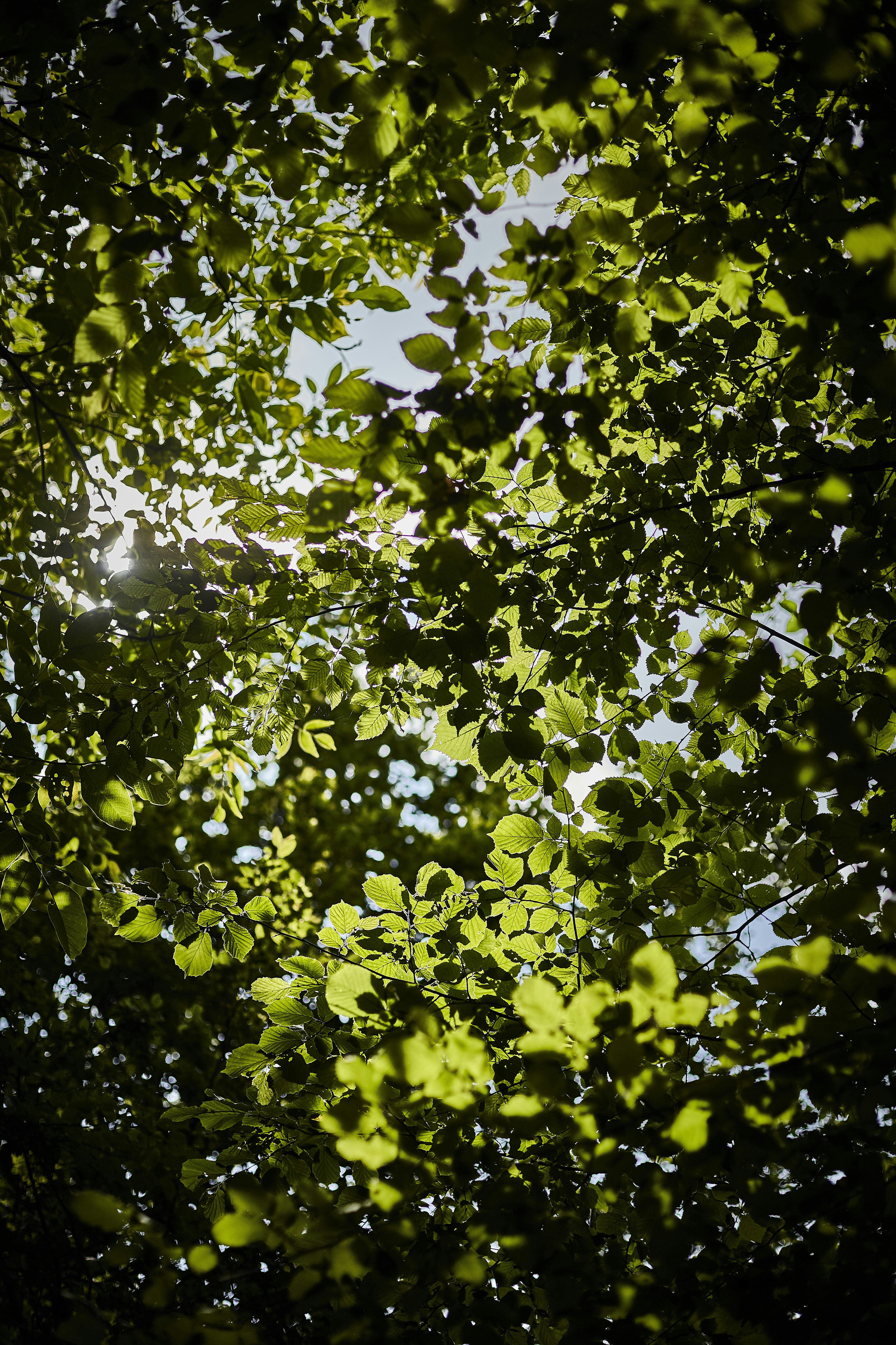 Photo by quadratmedia