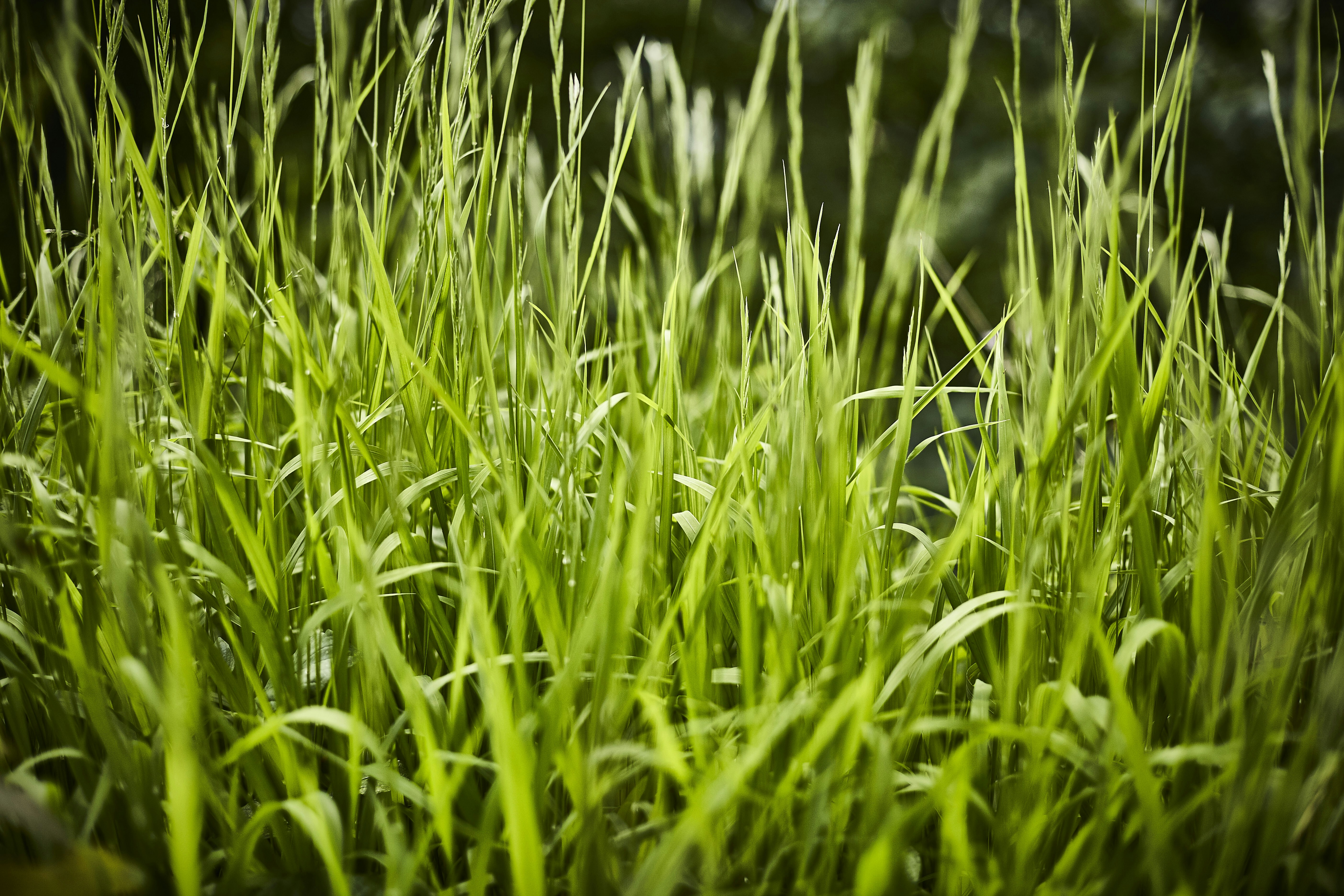 Photo by quadratmedia