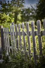 A wooden fence with vertical planks stands amid tall green grass and wild plants, with a backdrop of lush green trees under a clear sky.