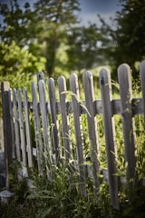 A freshly installed wooden fence surrounding a cozy suburban garden under a bright sky.