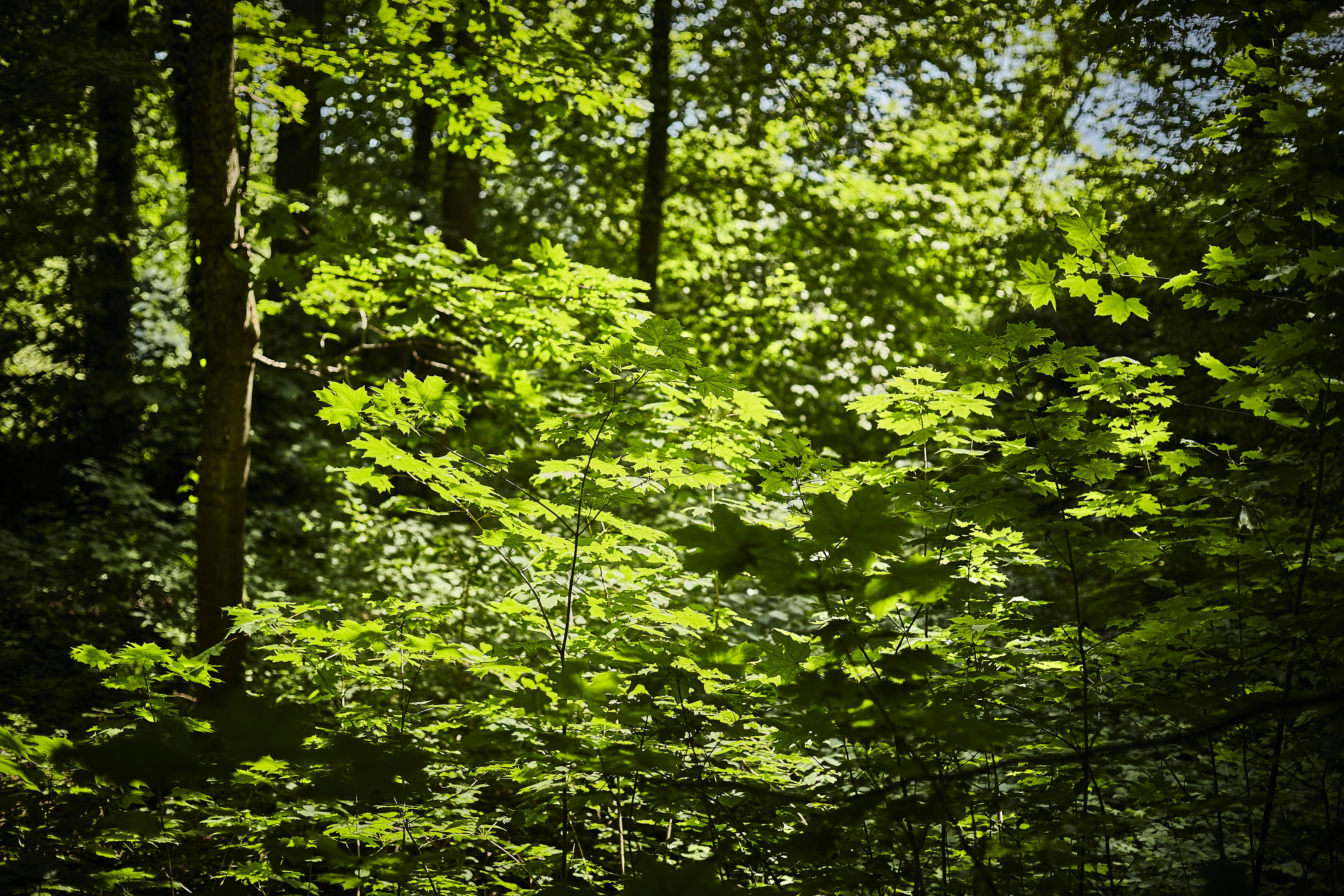 Photo by quadratmedia