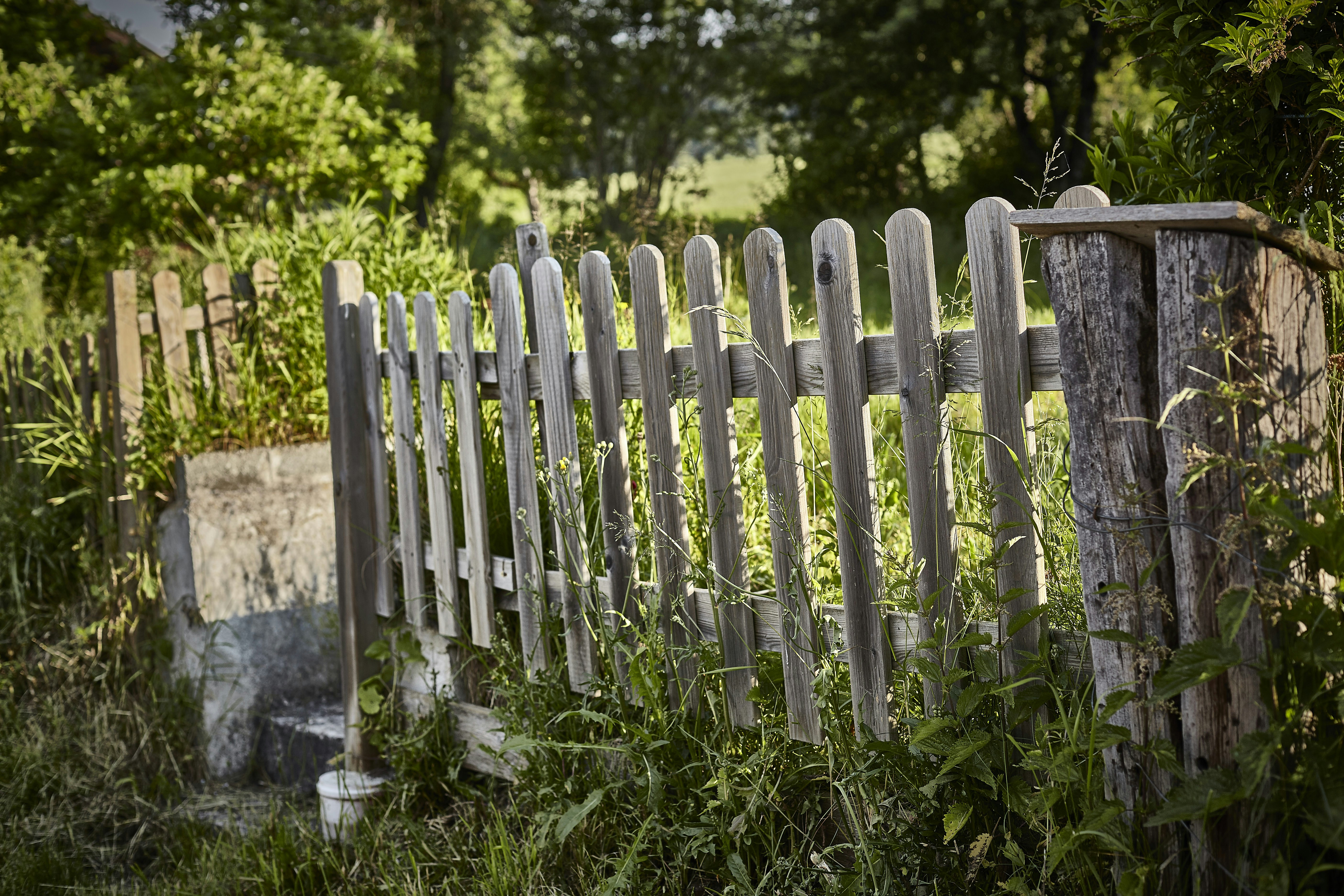 Photo by quadratmedia