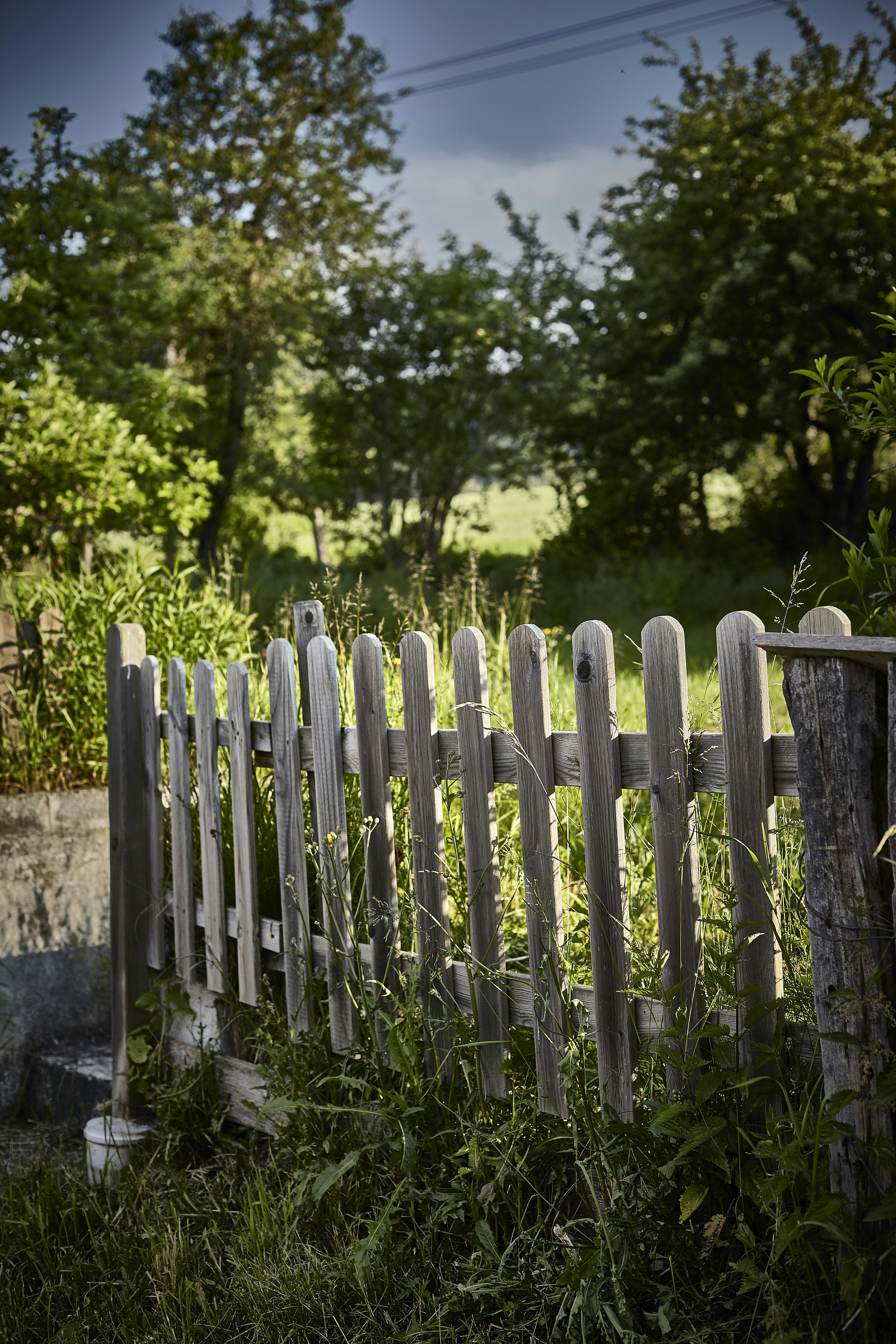 Photo by quadratmedia