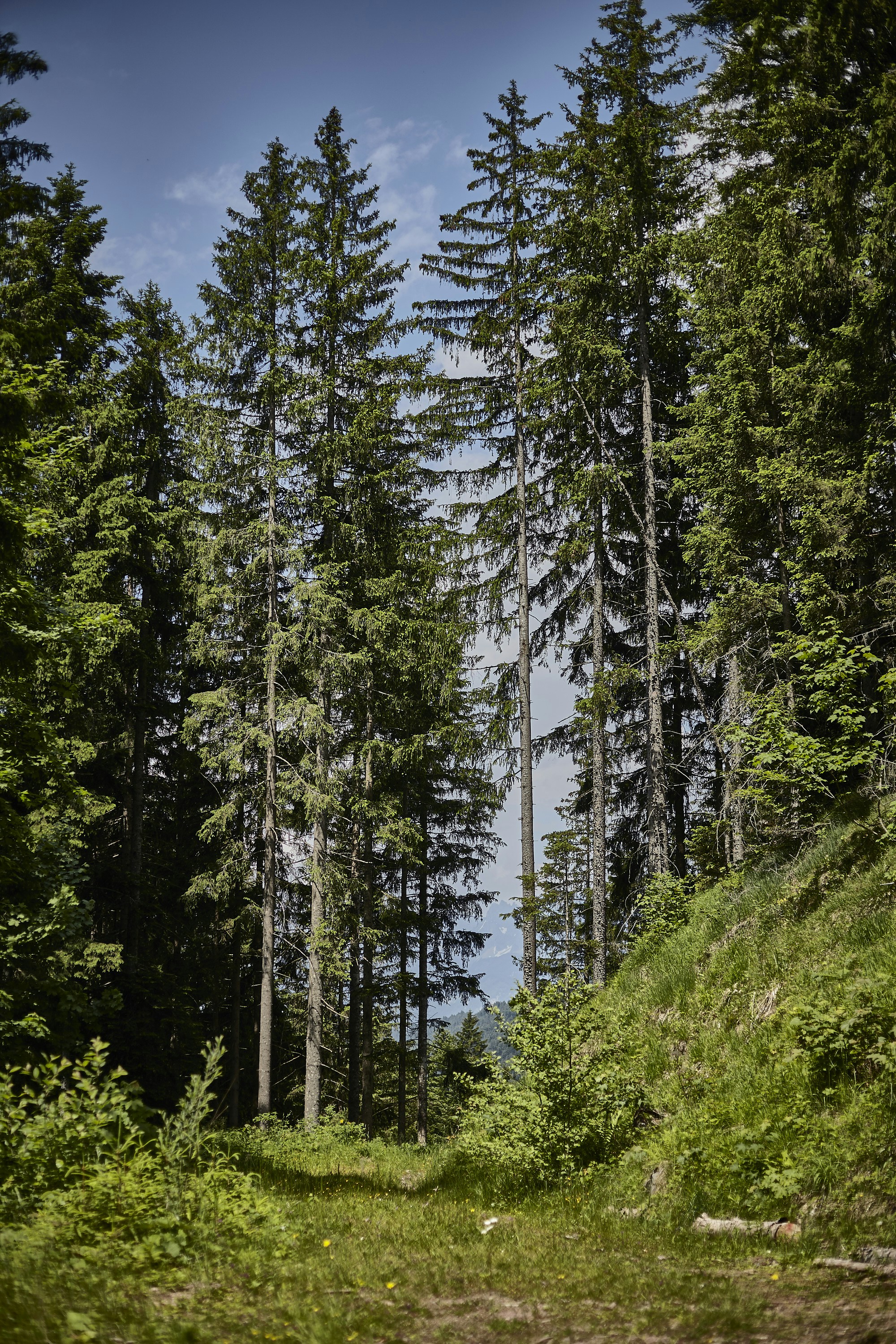 Photo by quadratmedia