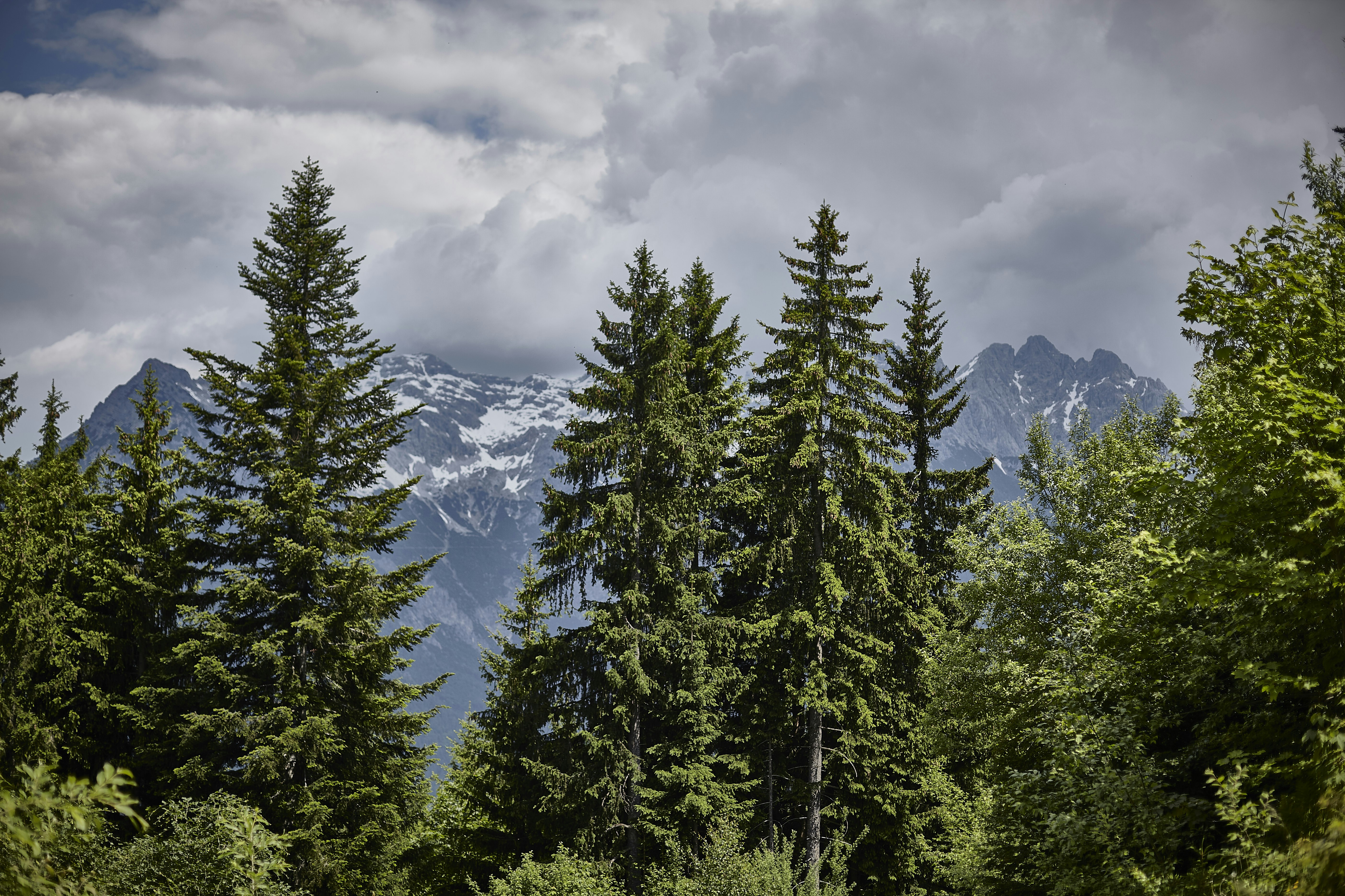 Photo by quadratmedia