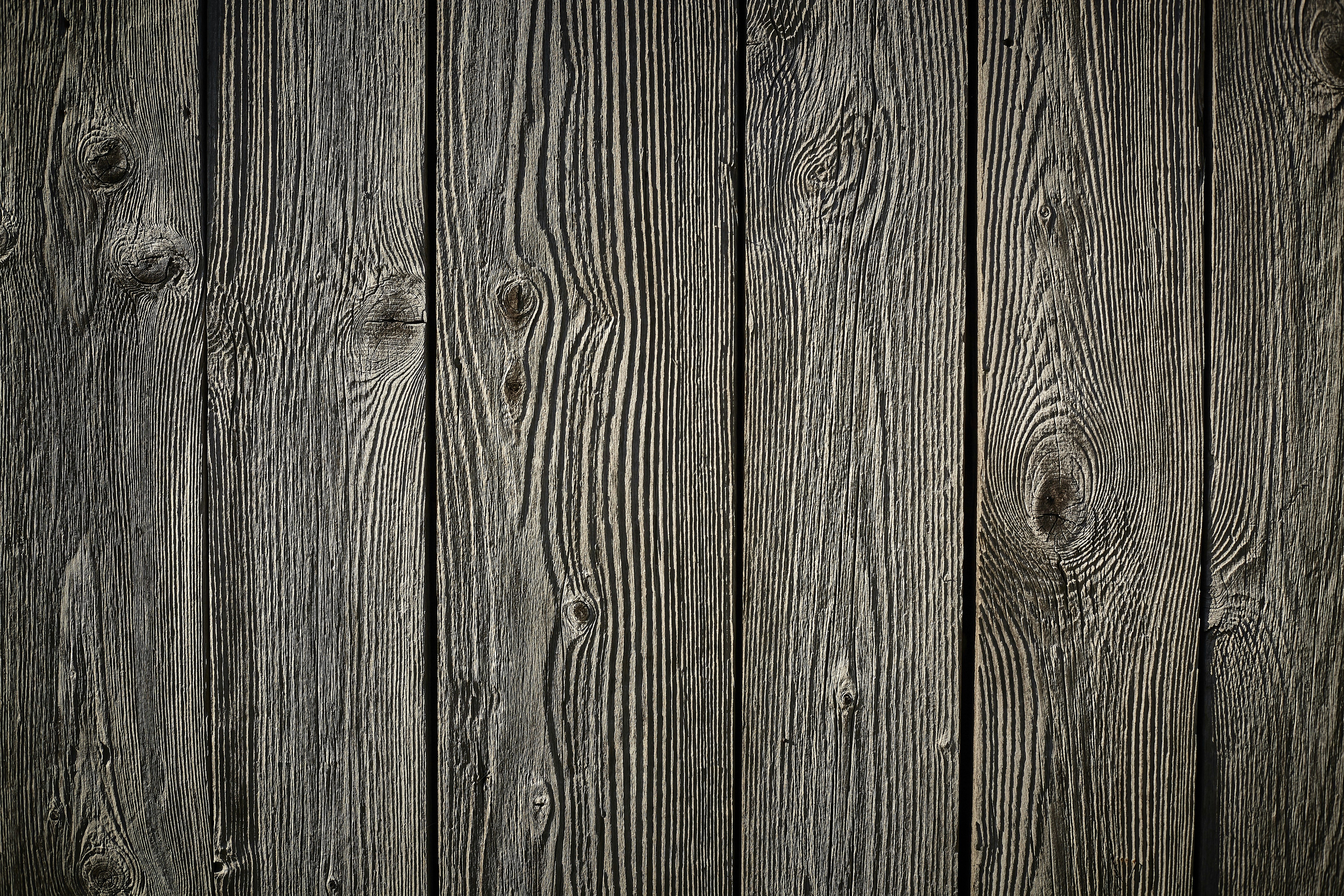 Photo by quadratmedia