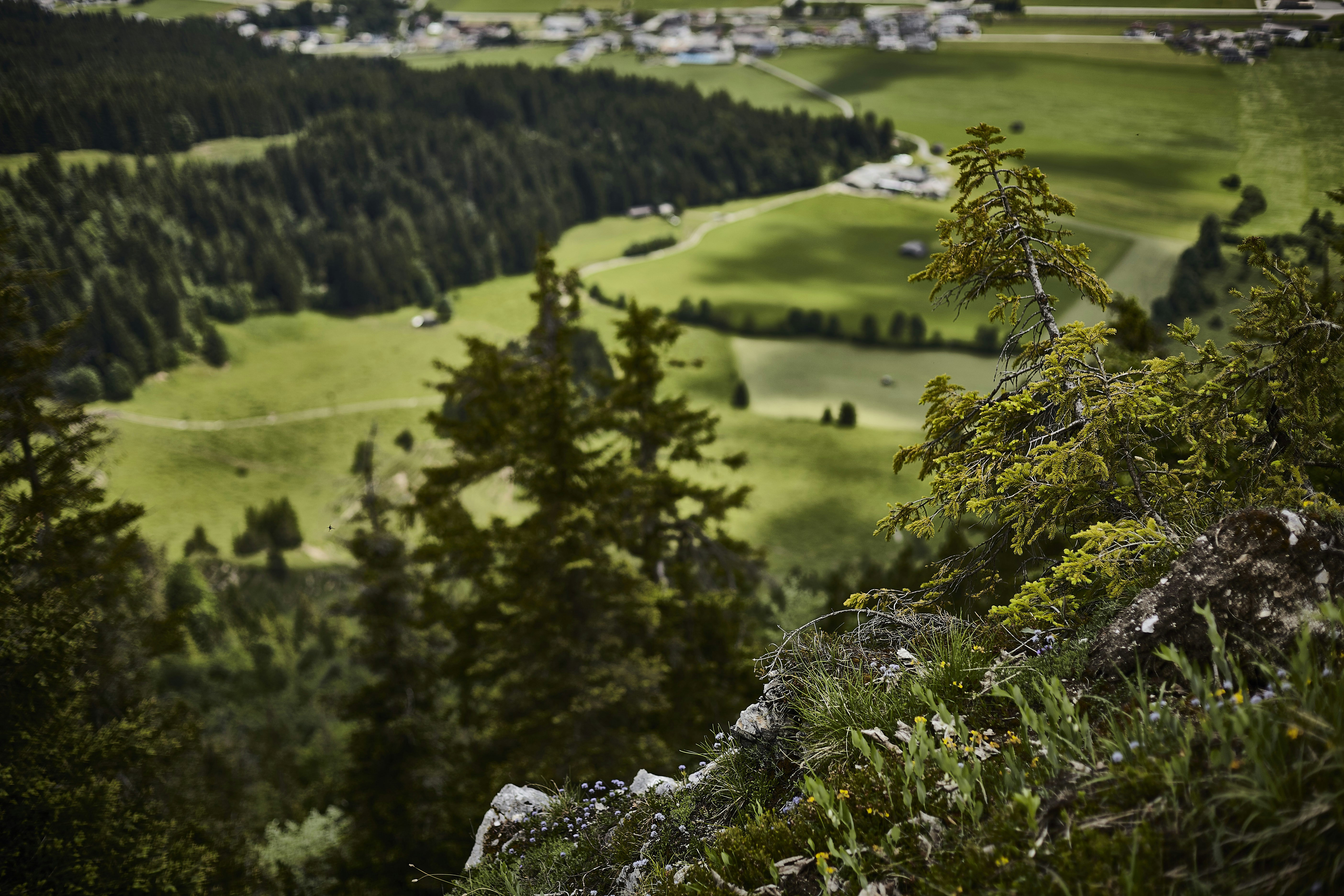 Photo by quadratmedia