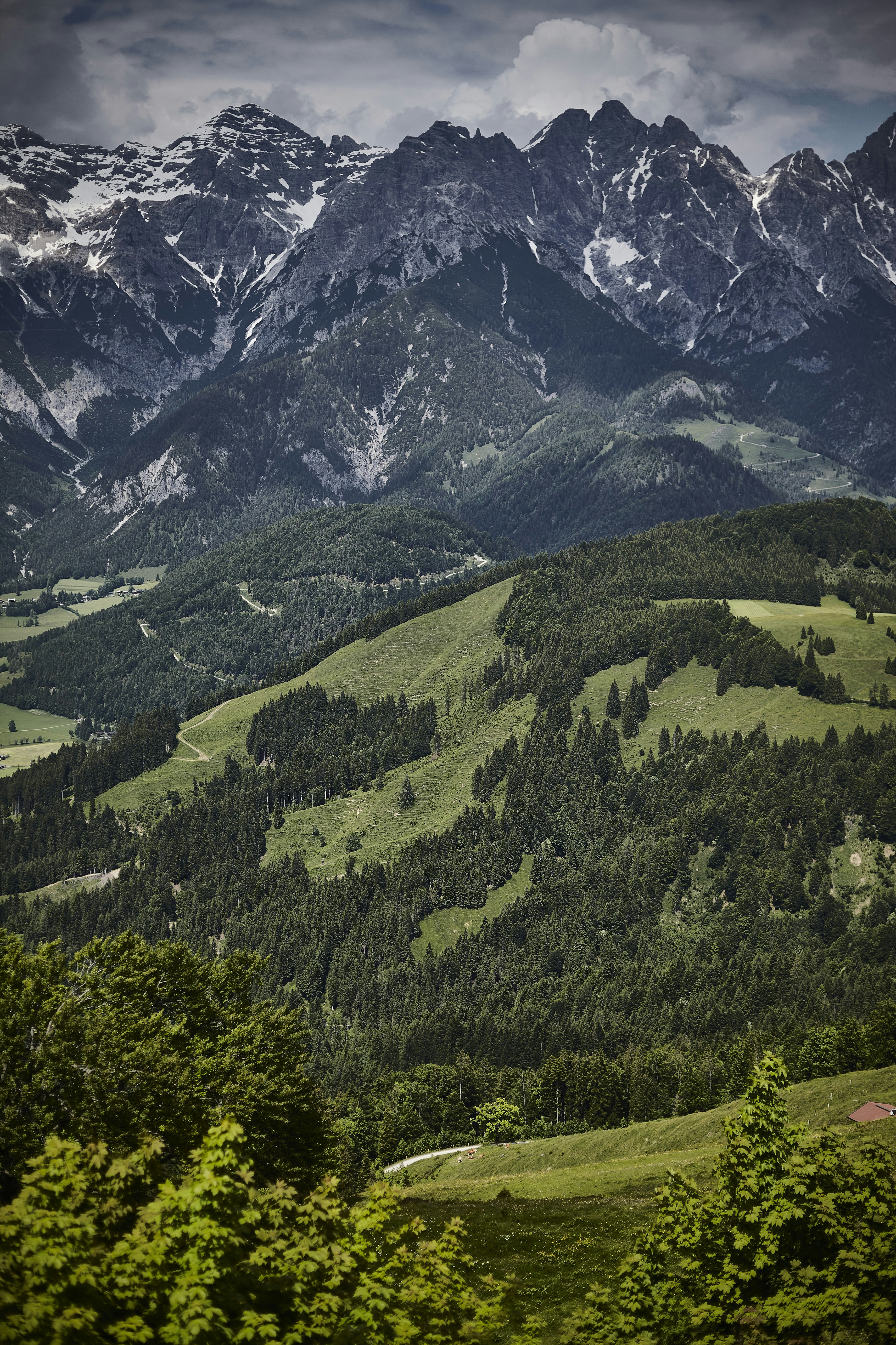 Photo by quadratmedia