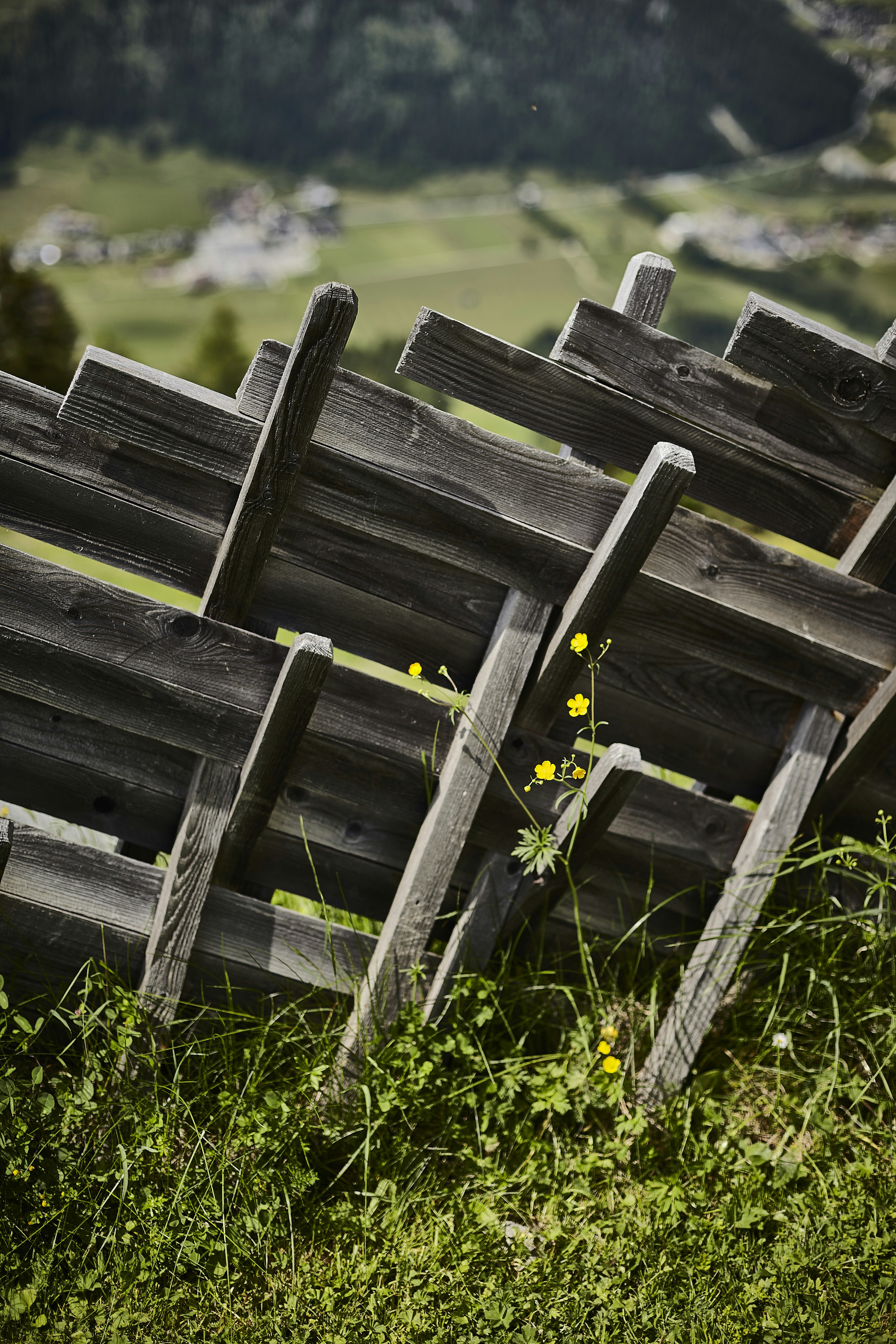 Photo by quadratmedia