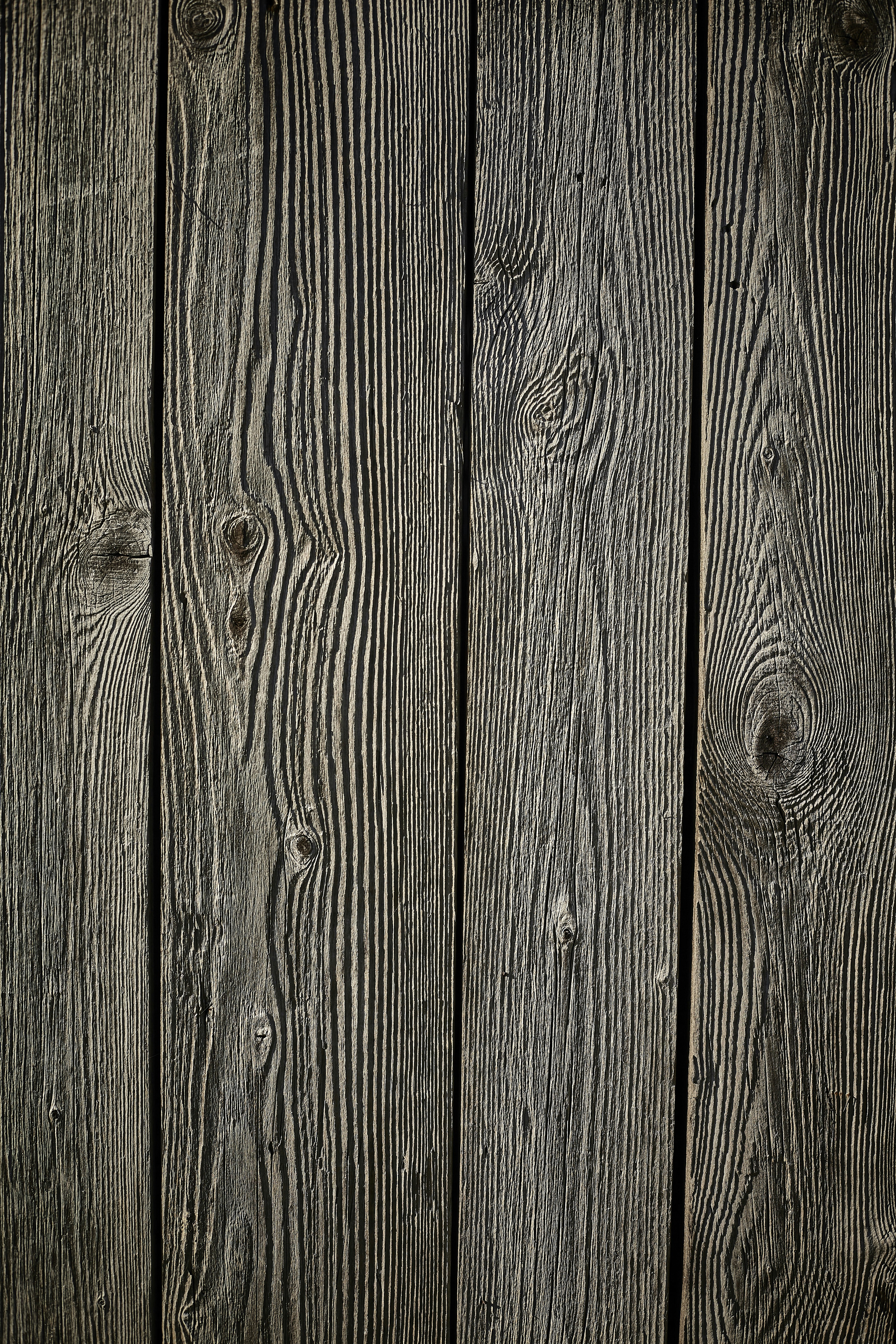 Photo by quadratmedia