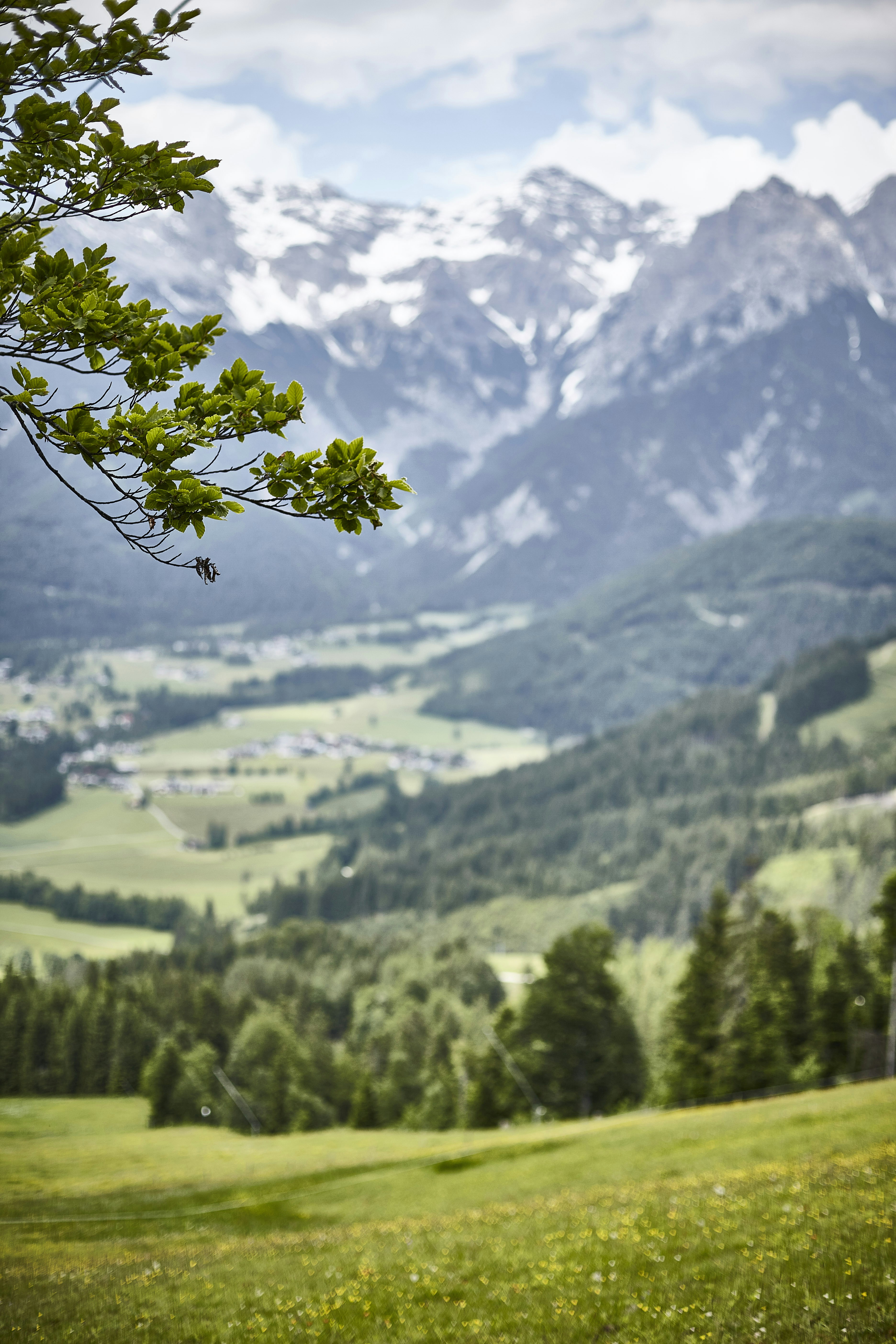 Photo by quadratmedia