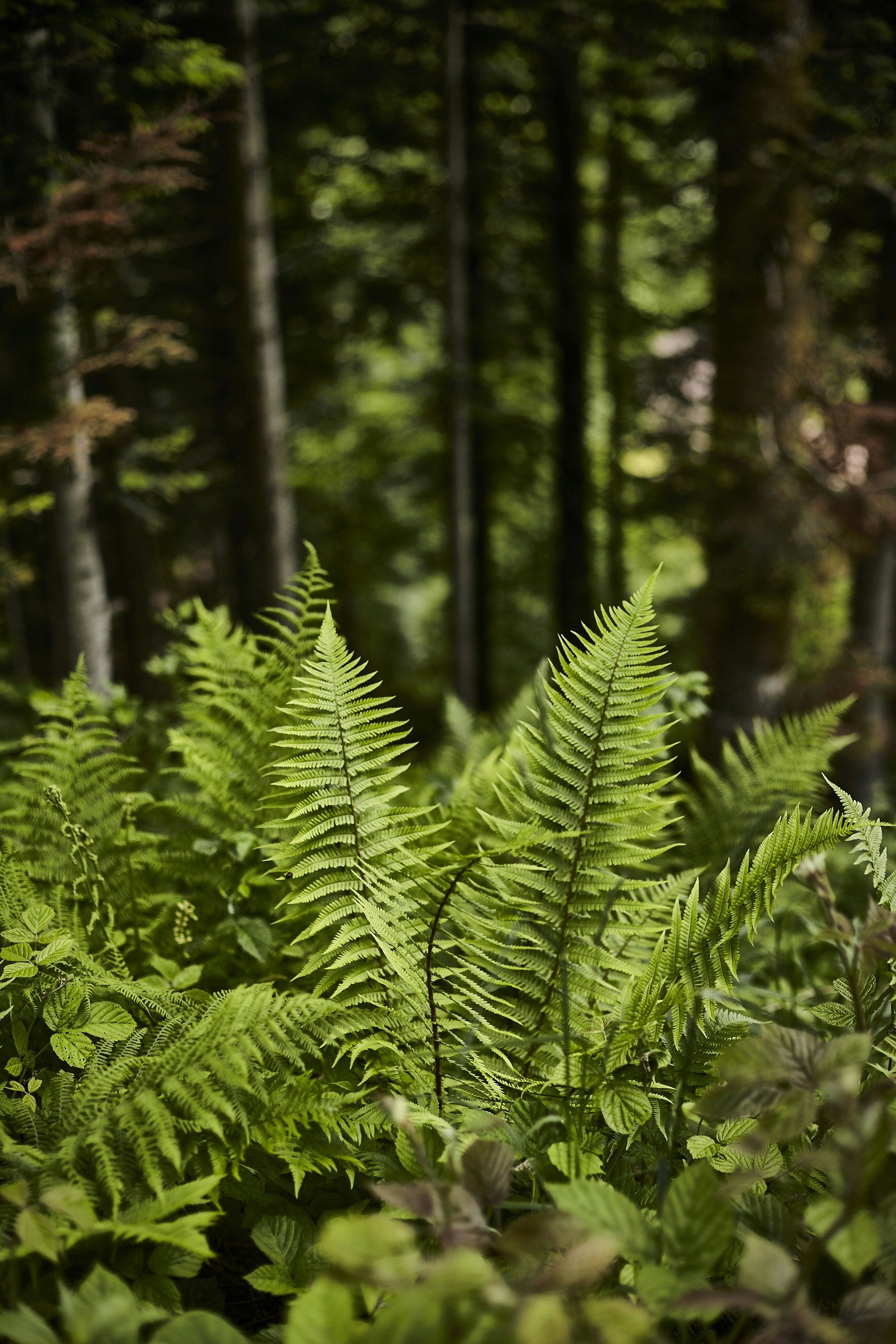 Photo by quadratmedia