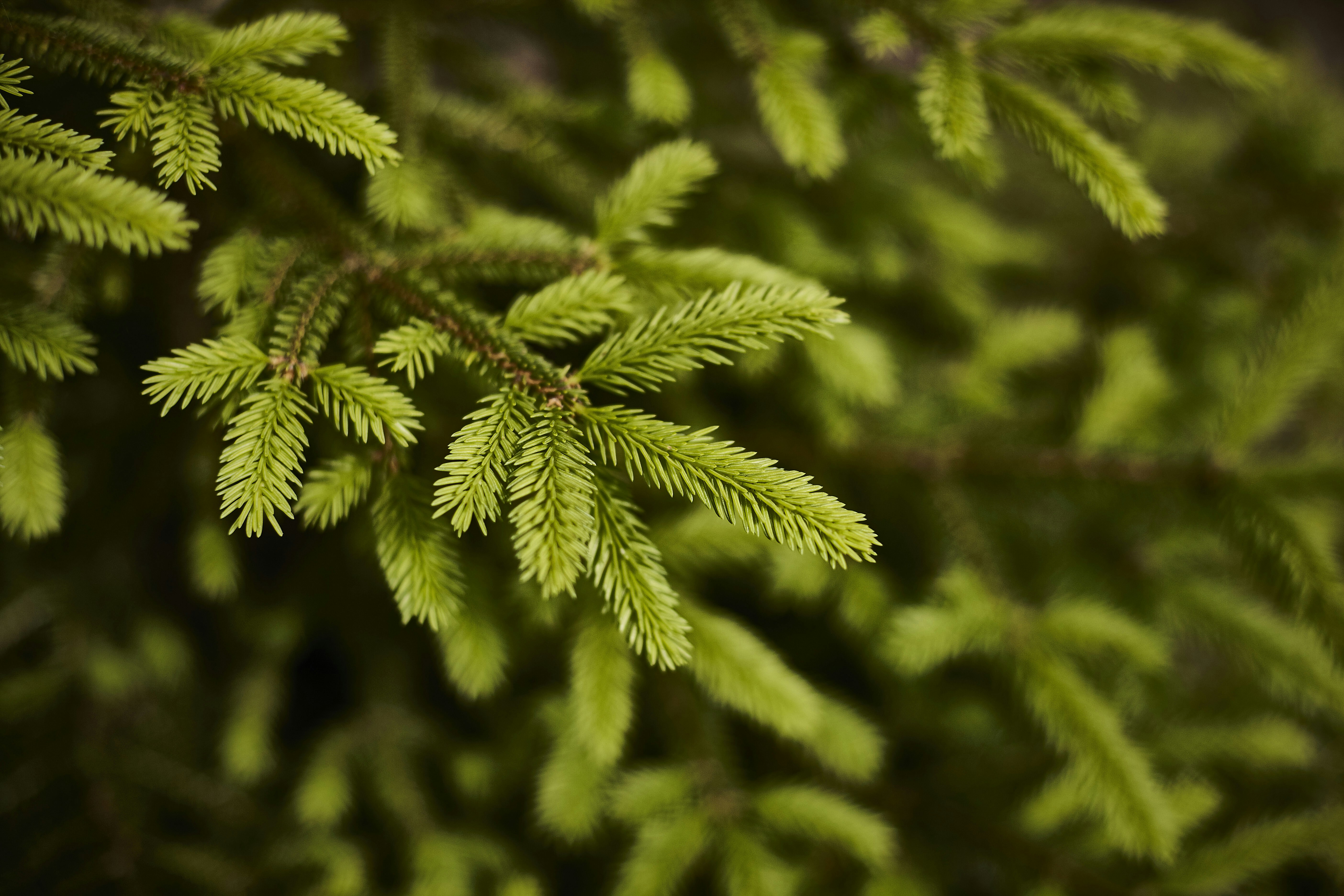 Photo by quadratmedia