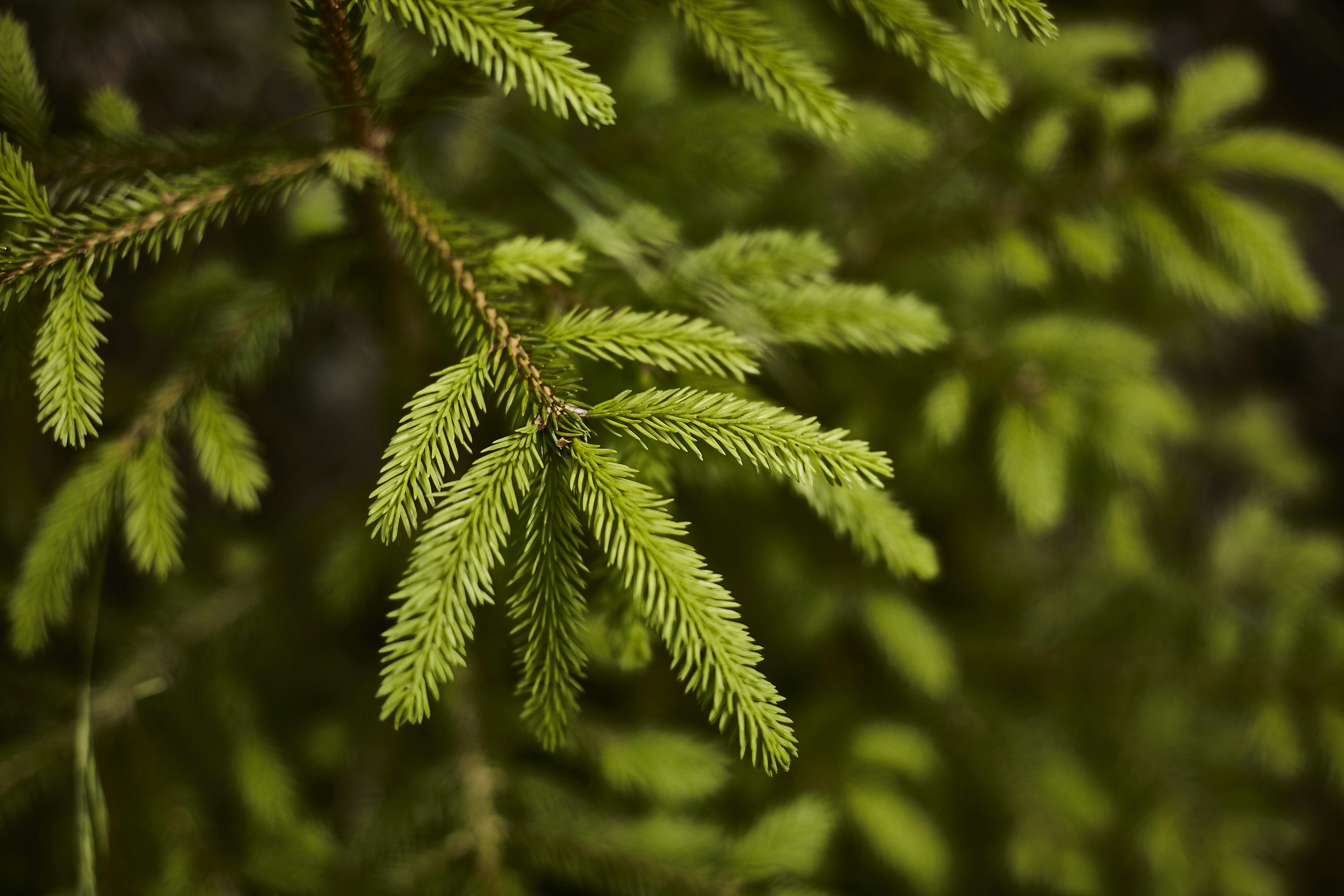 Photo by quadratmedia