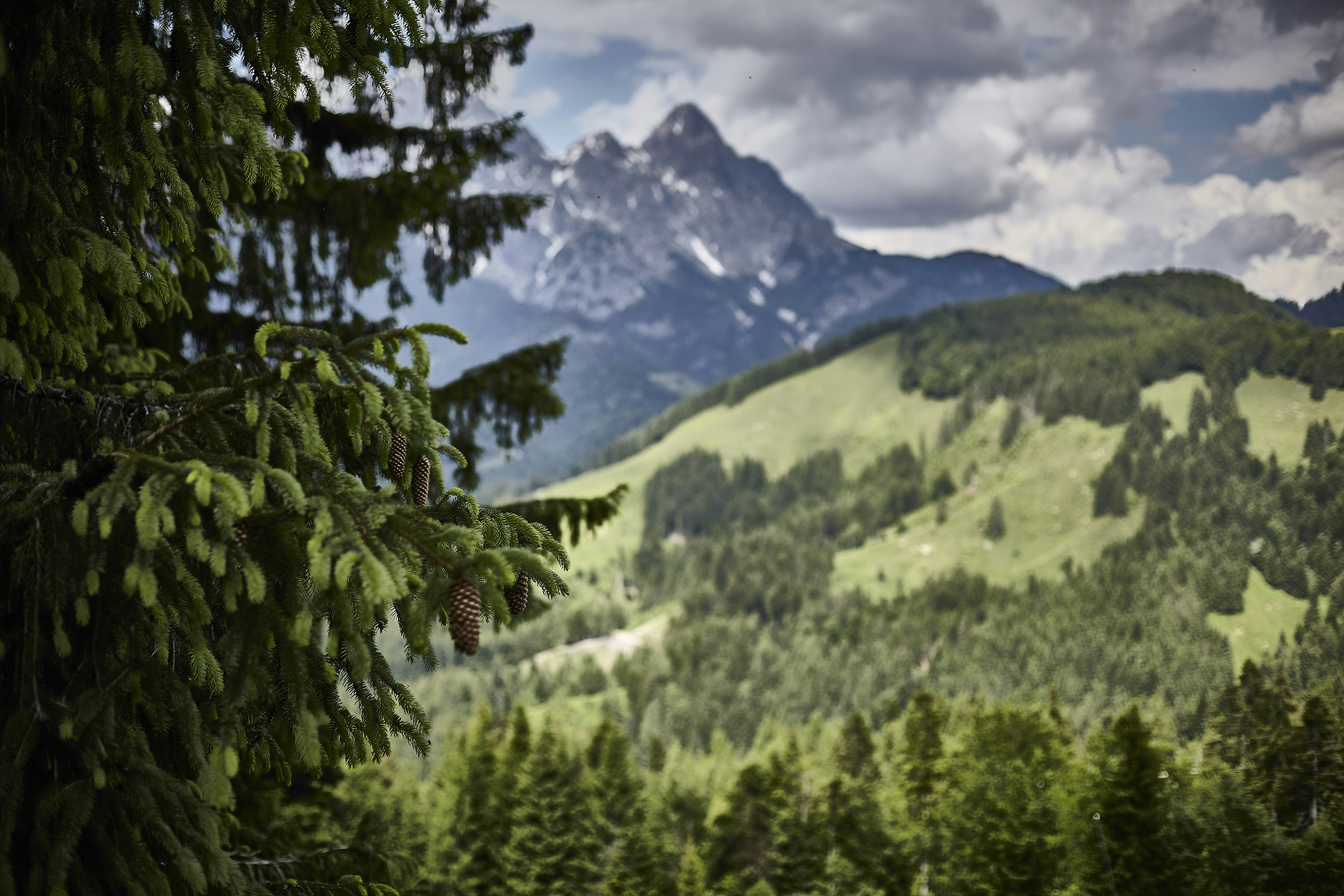 Photo by quadratmedia