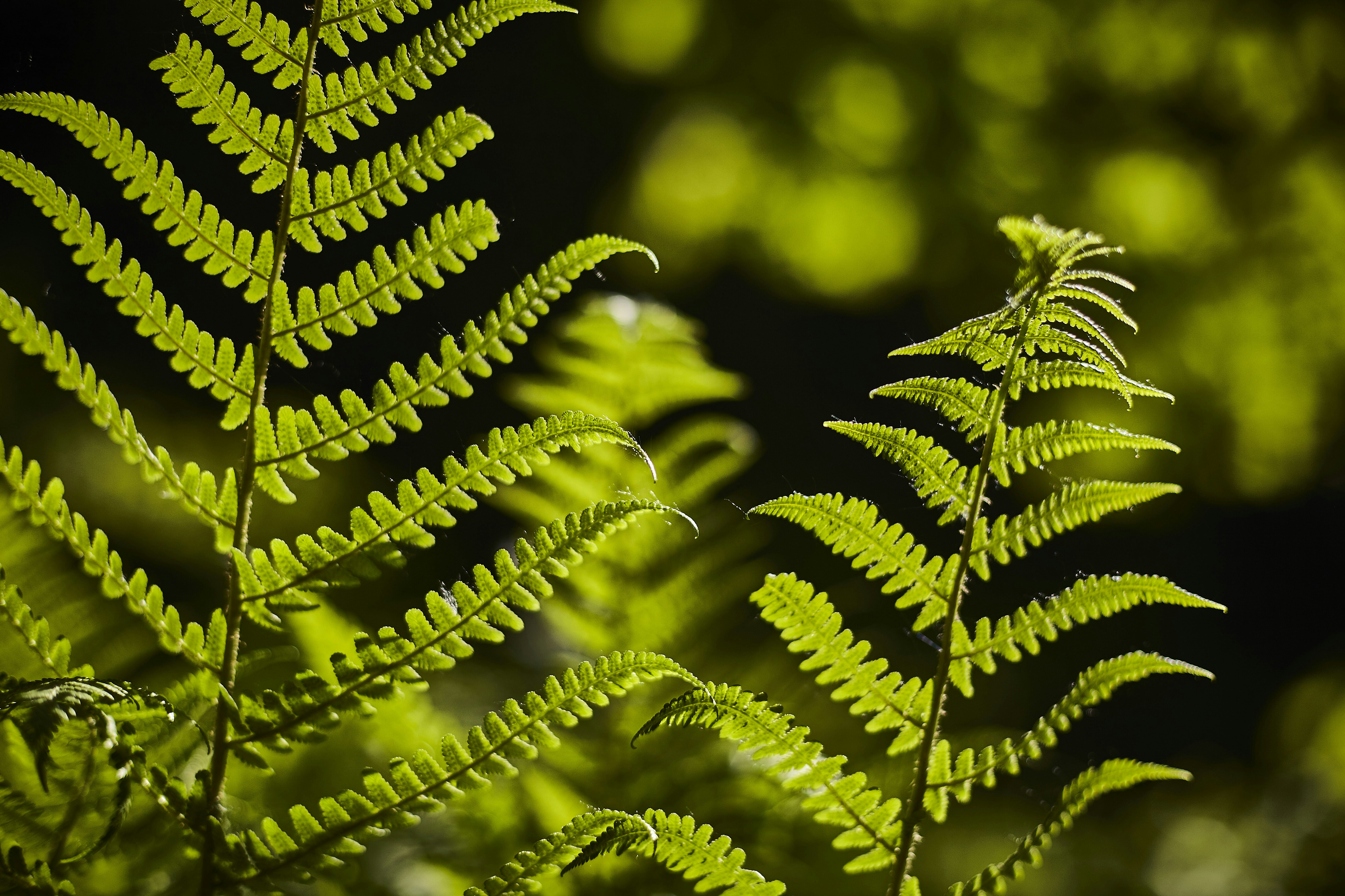 Photo by quadratmedia