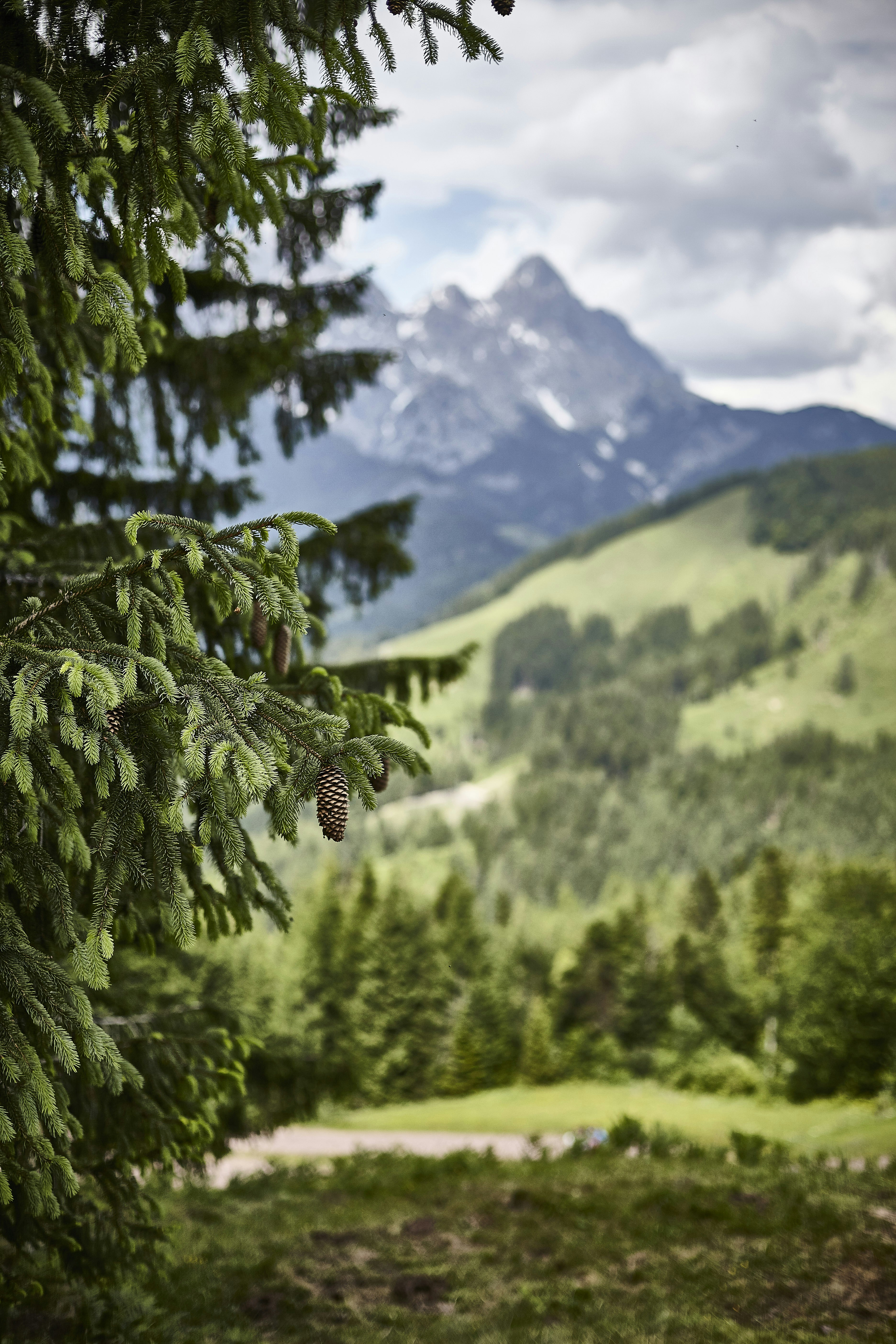 Photo by quadratmedia