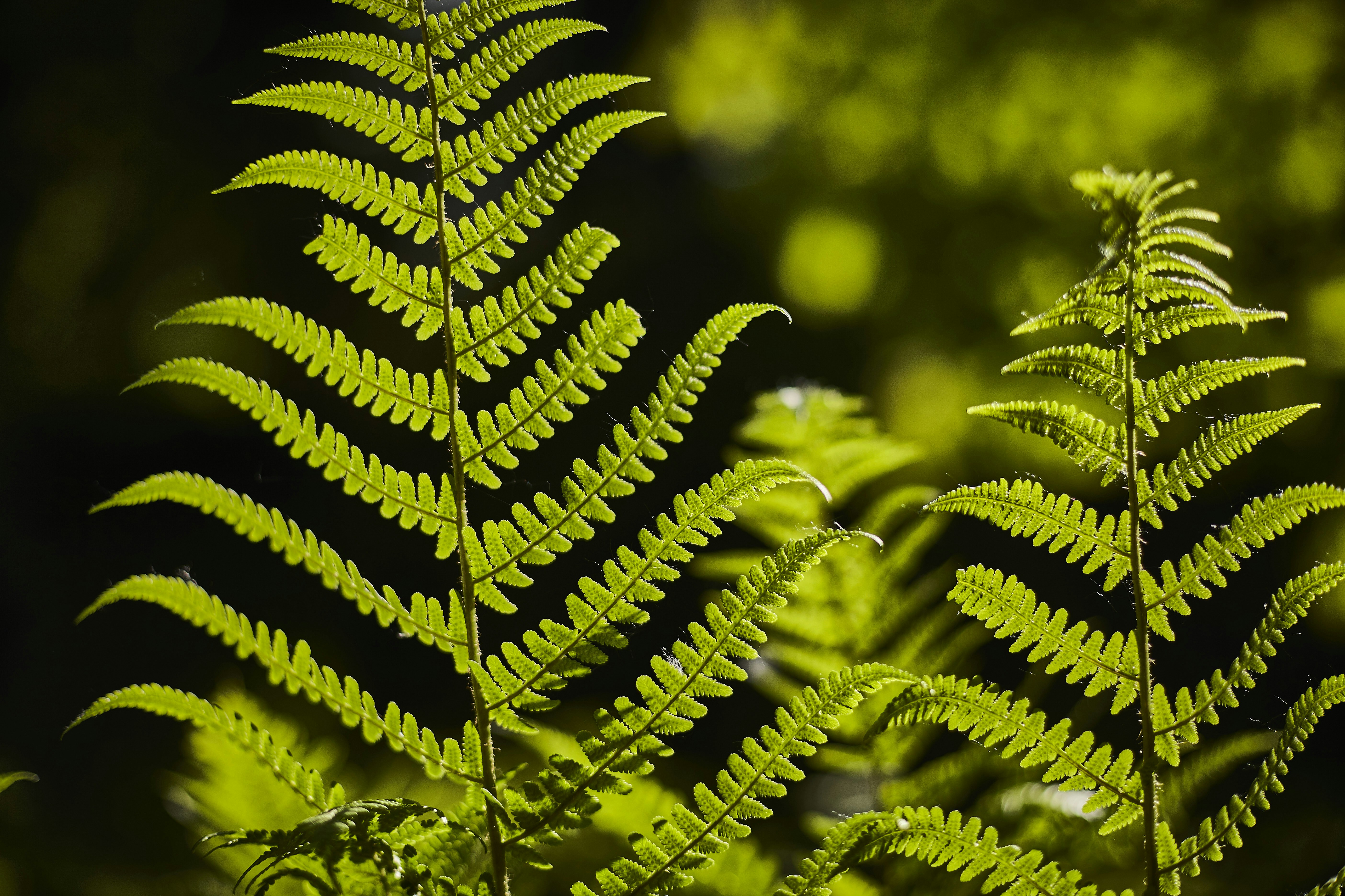 Photo by quadratmedia