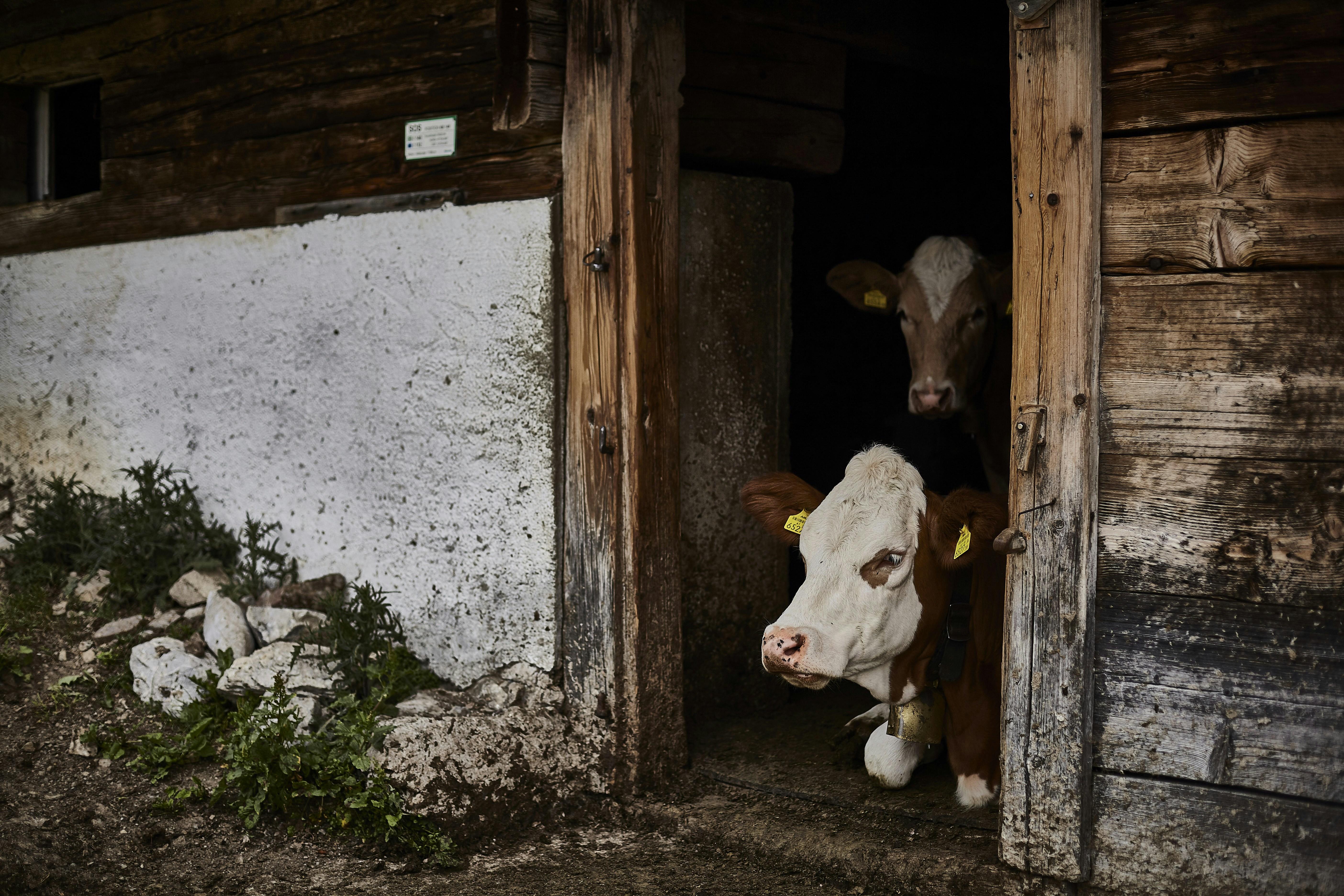 Photo by quadratmedia