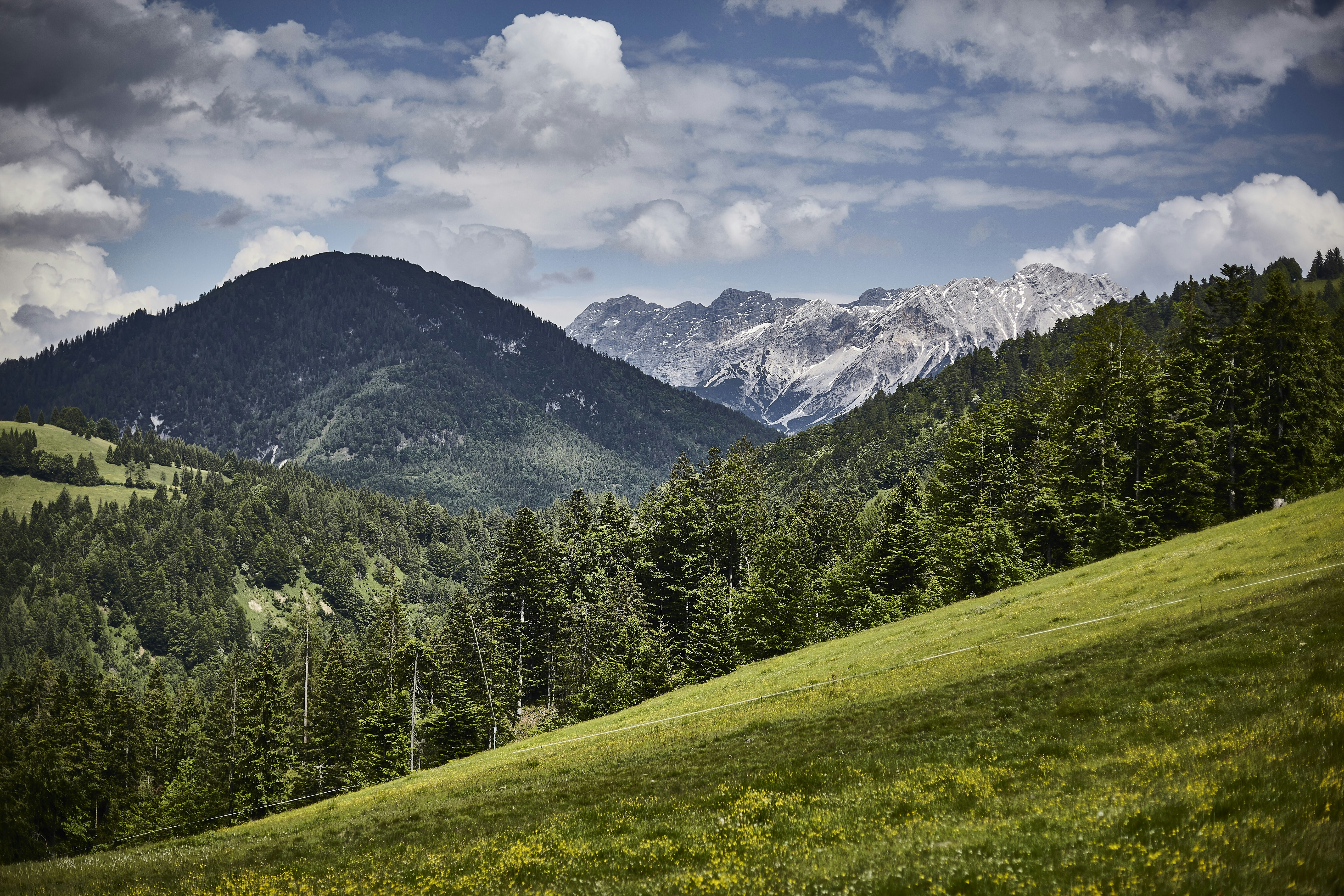 Photo by quadratmedia