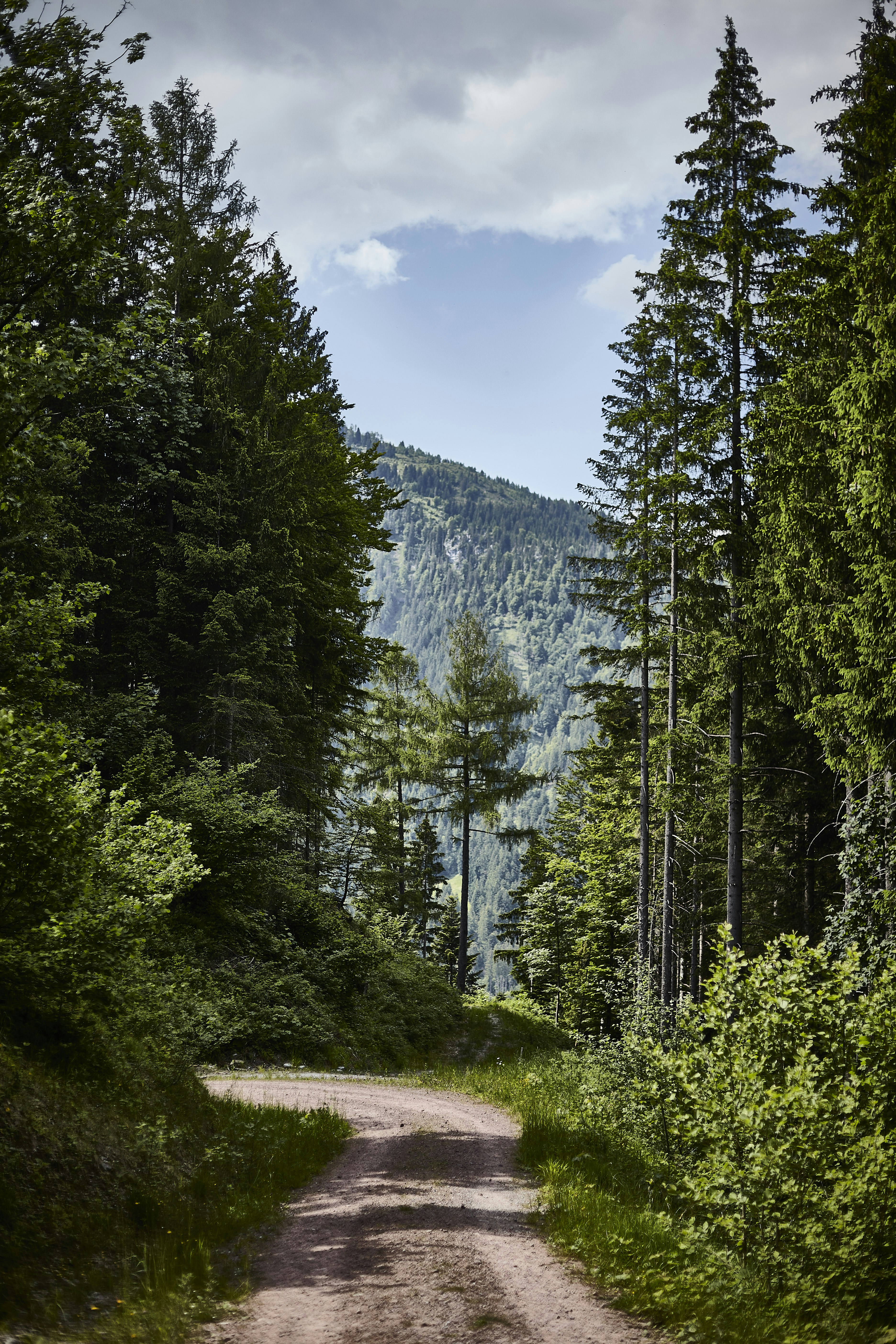 Photo by quadratmedia