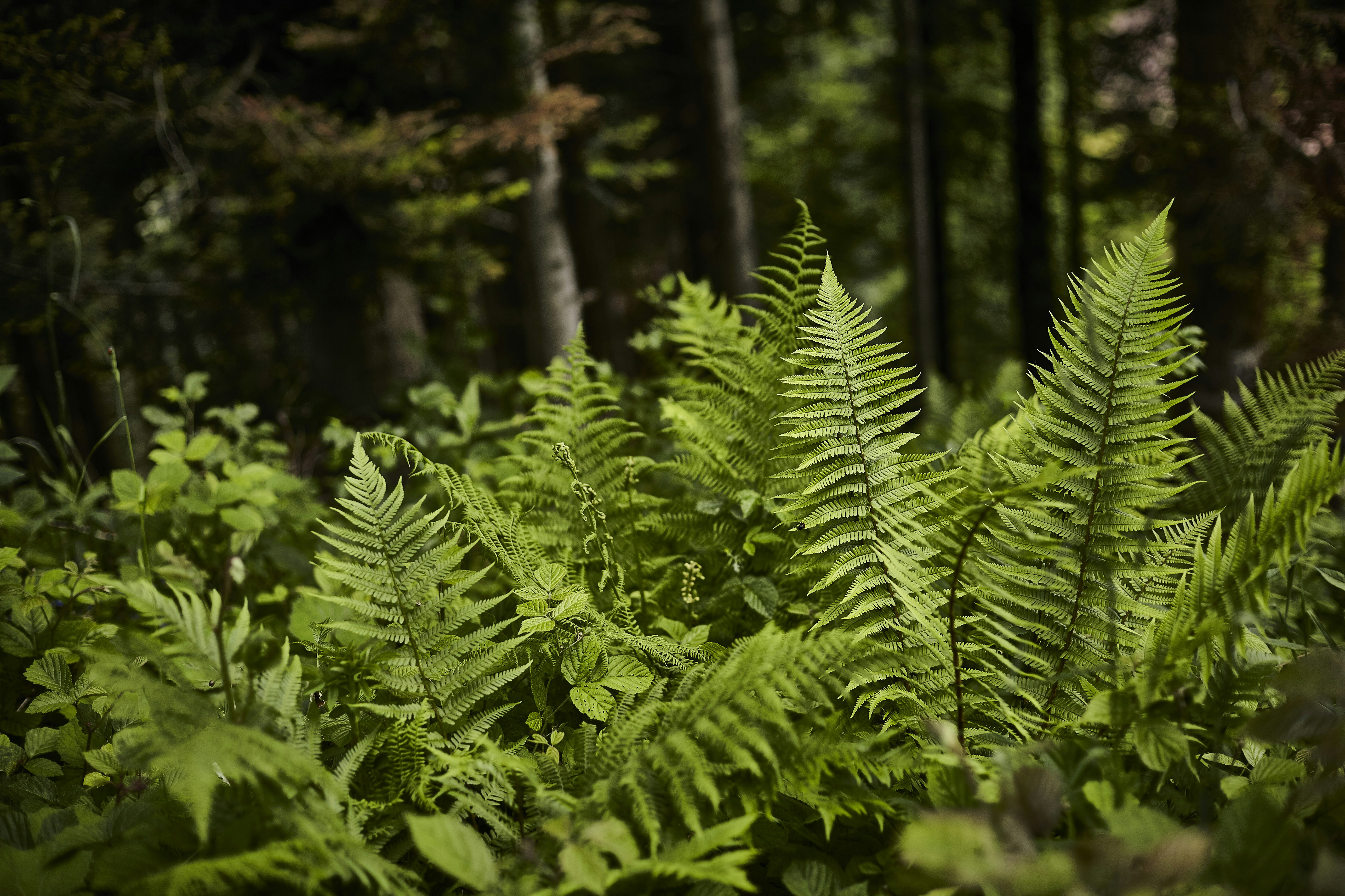 Photo by quadratmedia