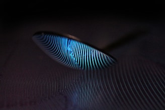 A serene close-up of a soft blue feather resting gently on an open book's page.