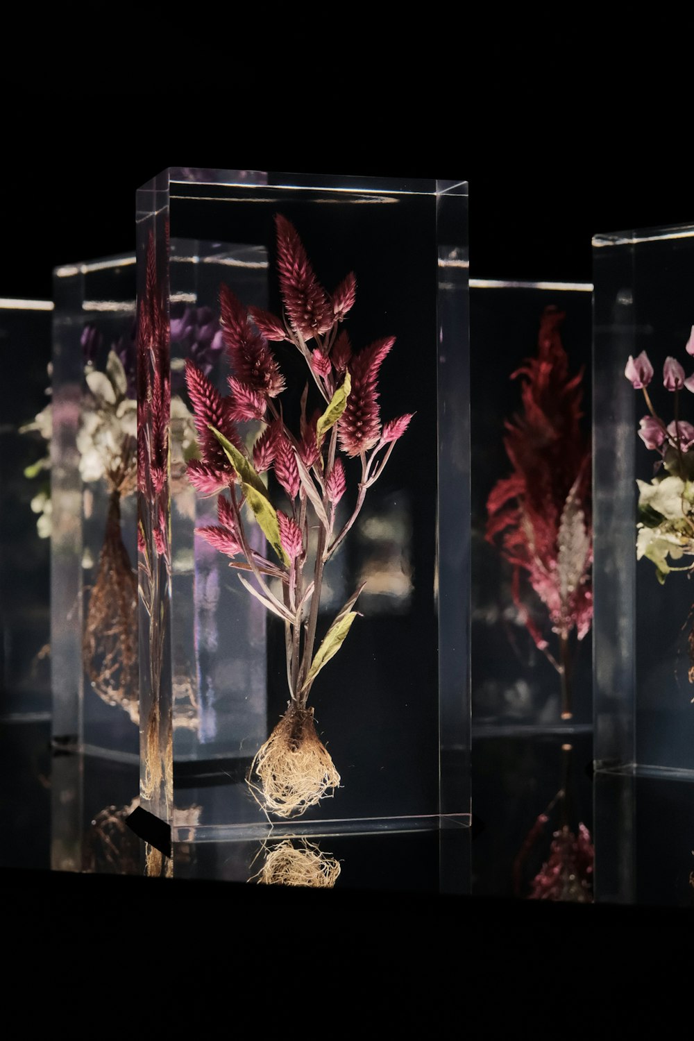 a group of three vases with plants inside of them