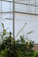 Installation process showing careful placement of greenery in a modern retail space.
