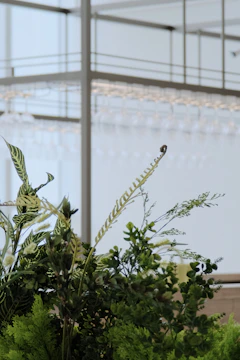 Installation process showing careful placement of greenery in a modern retail space.