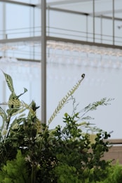 Photo 1686466318291 52a8ad6f04e2?q=85&w=261&h=261&fit=crop