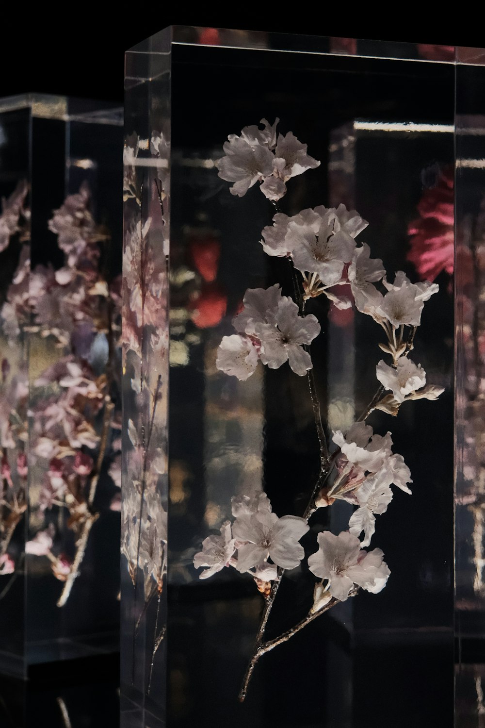 three clear vases with flowers inside of them