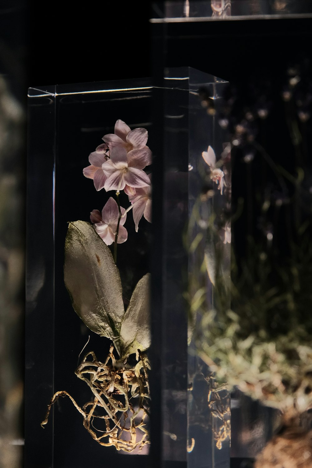 a glass vase with flowers inside of it