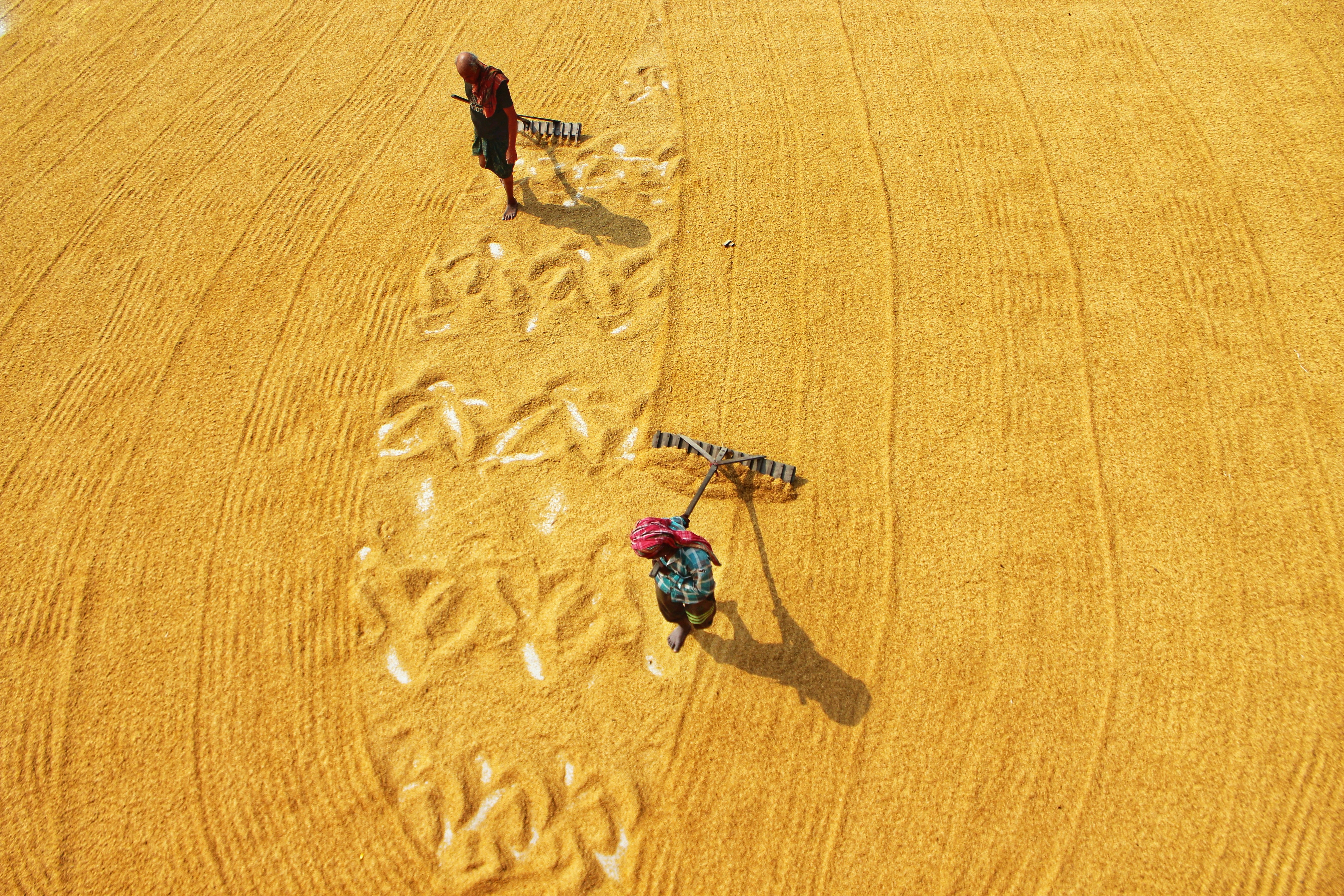 a couple of people walking across a dry grass field