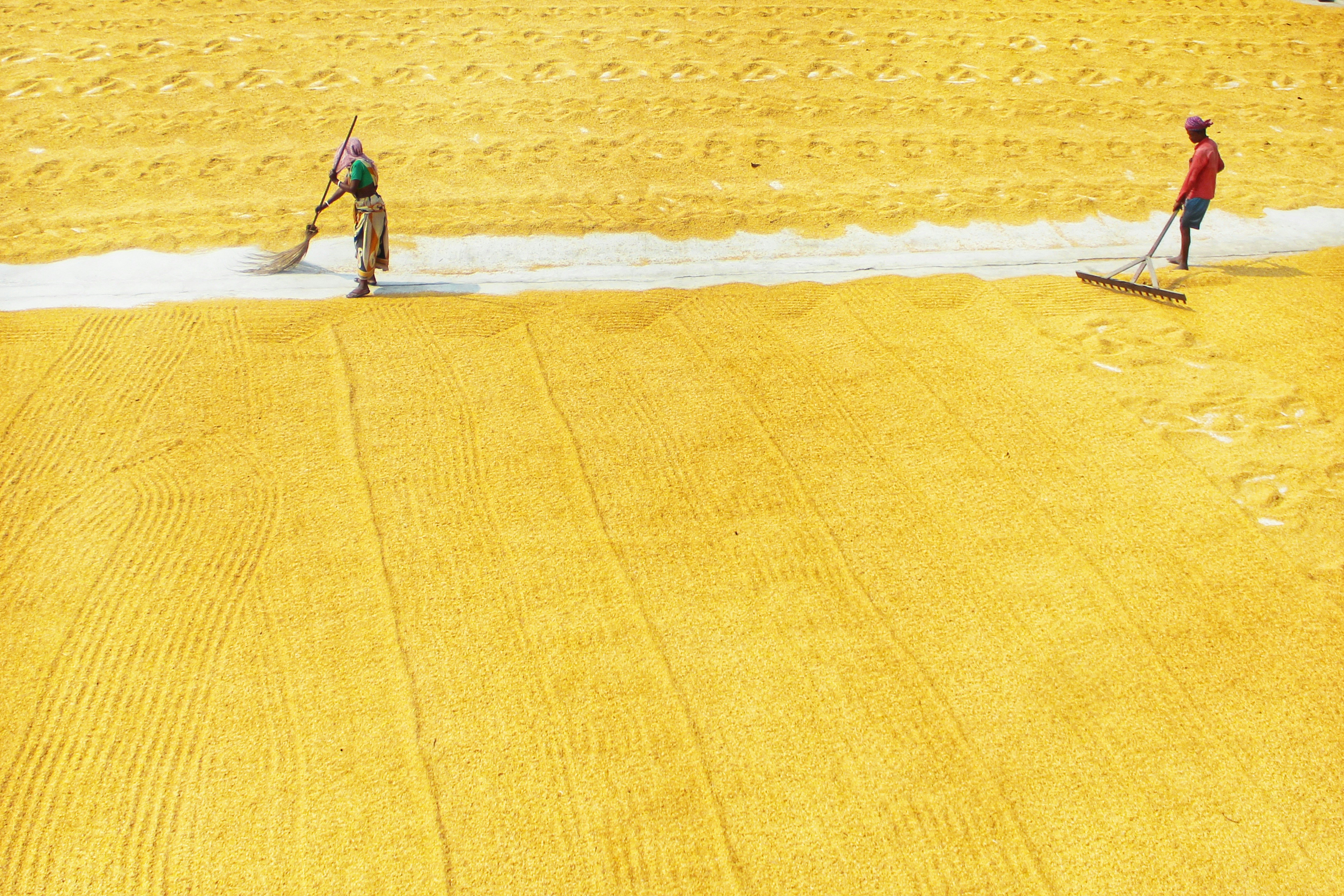 Photo by dibakar16roy