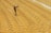 A person walks across a large expanse of drying grain, carrying a rake over their shoulder. The golden grains are spread evenly across the ground, and the person is dressed in dark clothing with a wide-brimmed hat, casting a shadow onto the surface.