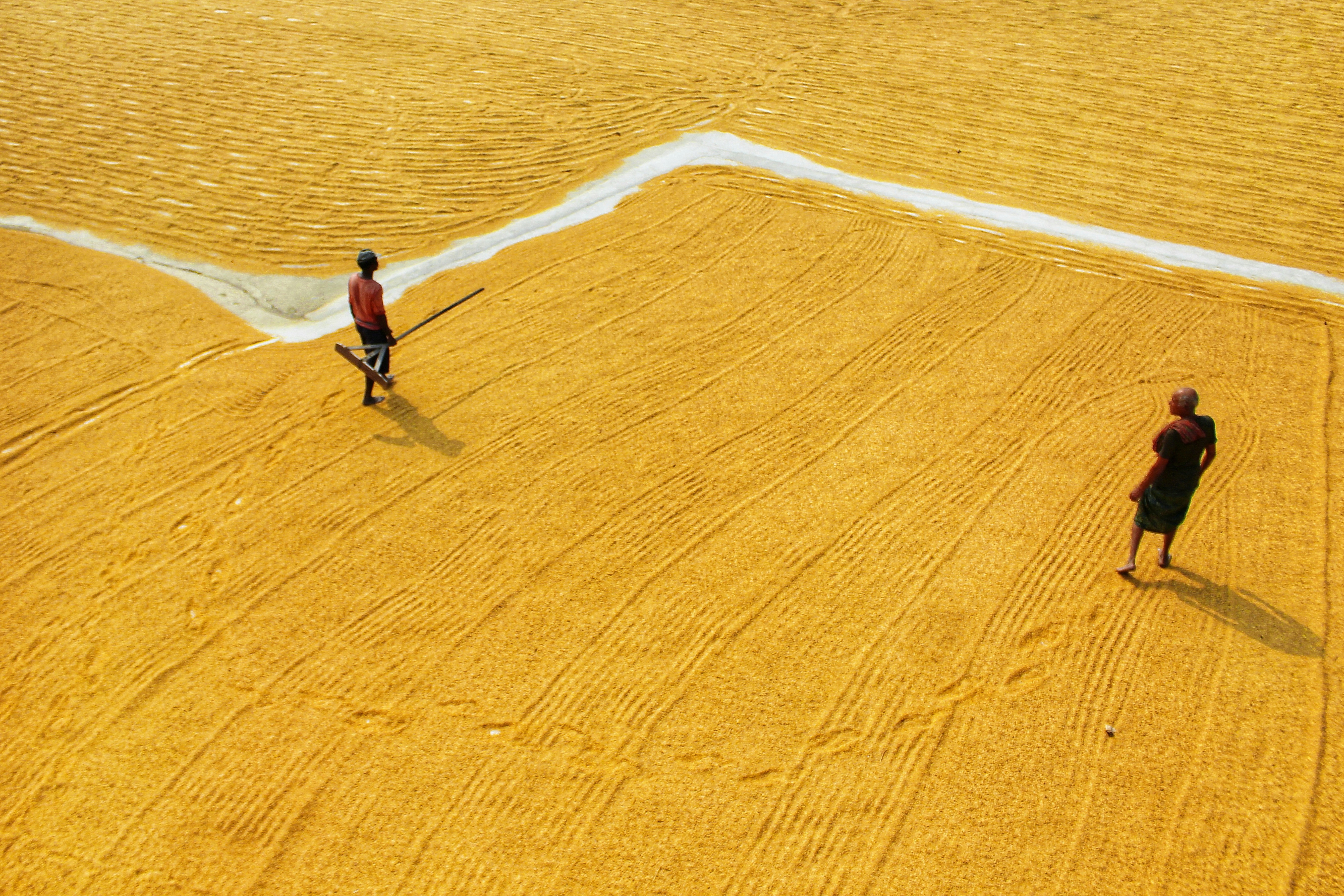 Photo by dibakar16roy