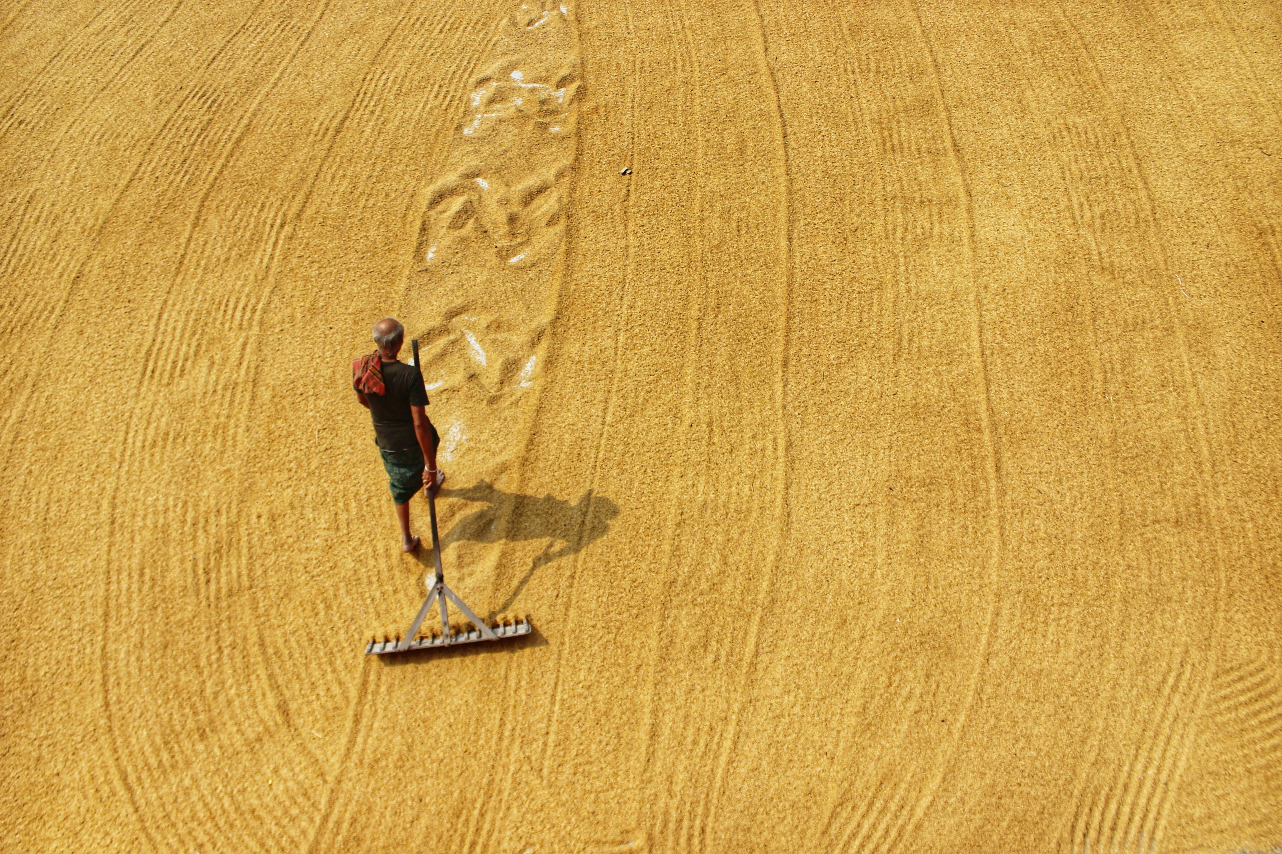 Photo by dibakar16roy