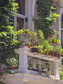 Sunlit balcony decorated with woven baskets and lush green plants.