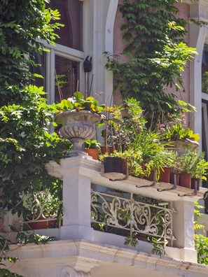 Sunlit balcony decorated with woven baskets and lush green plants.