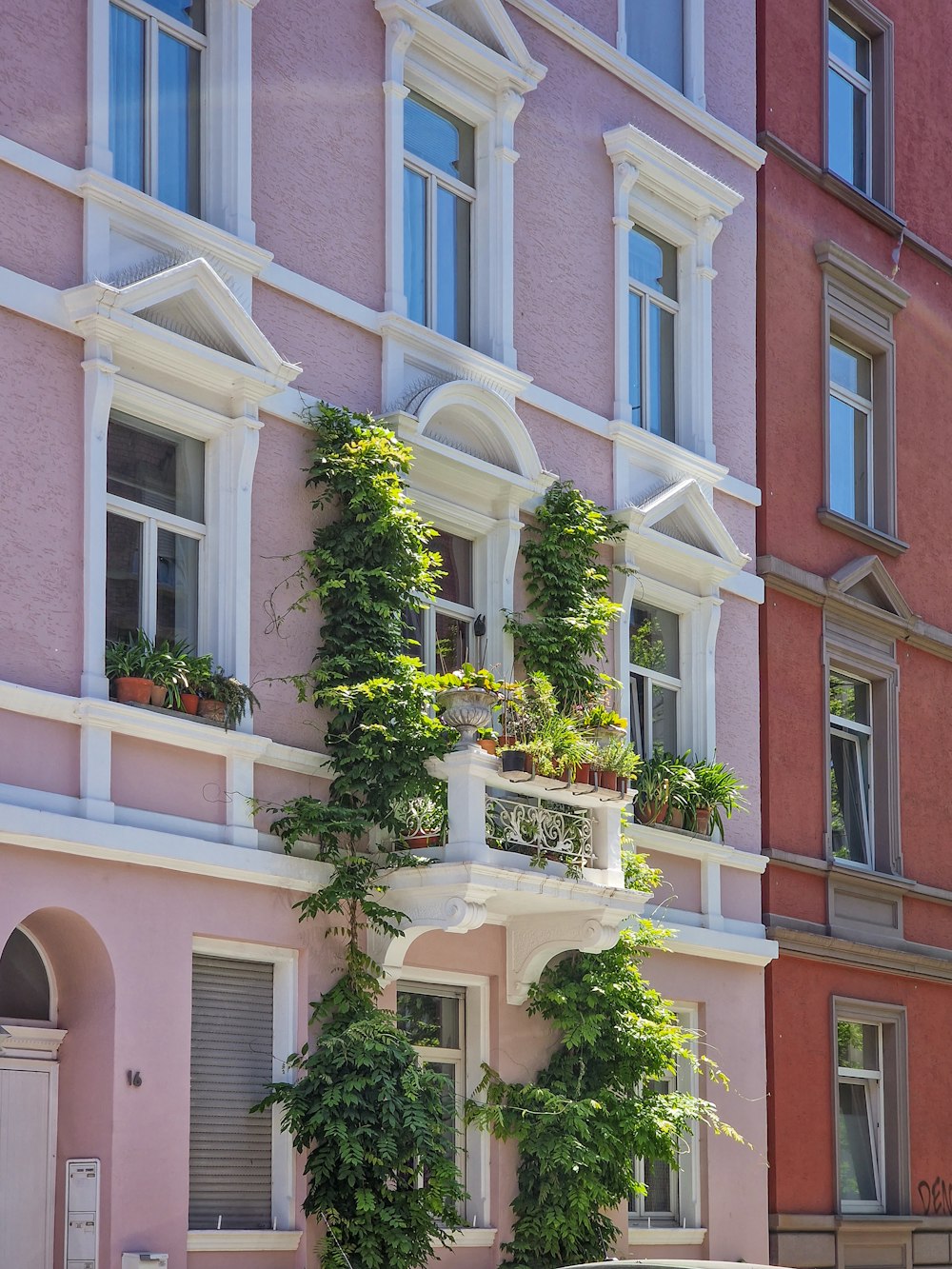 a pink building with many windows and plants growing on it