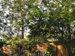 The exterior of a sleek solarium cabin surrounded by lush greenery on a sunny day